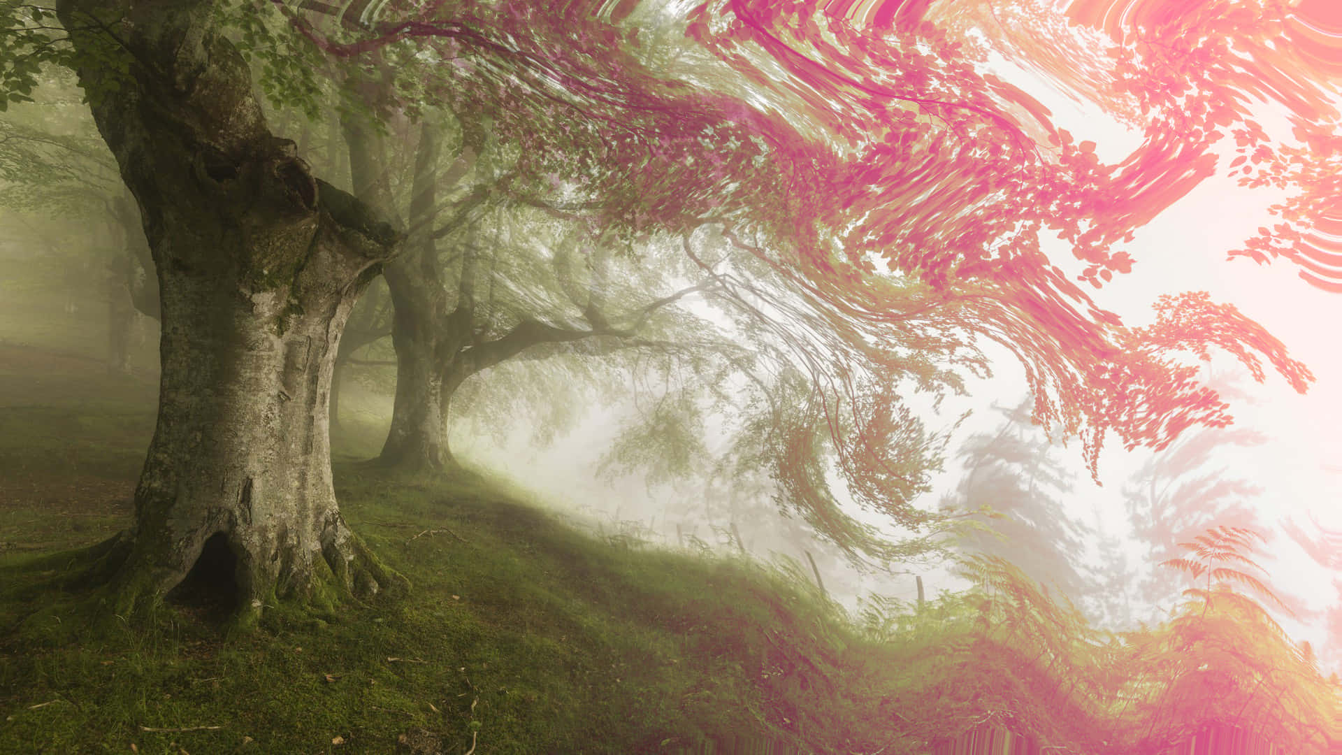 Trippy Nature 桌布 壁紙 — 薄霧森林，古樹參天，超現實的粉紅發光樹枝，沐浴在柔和黎明之光中。