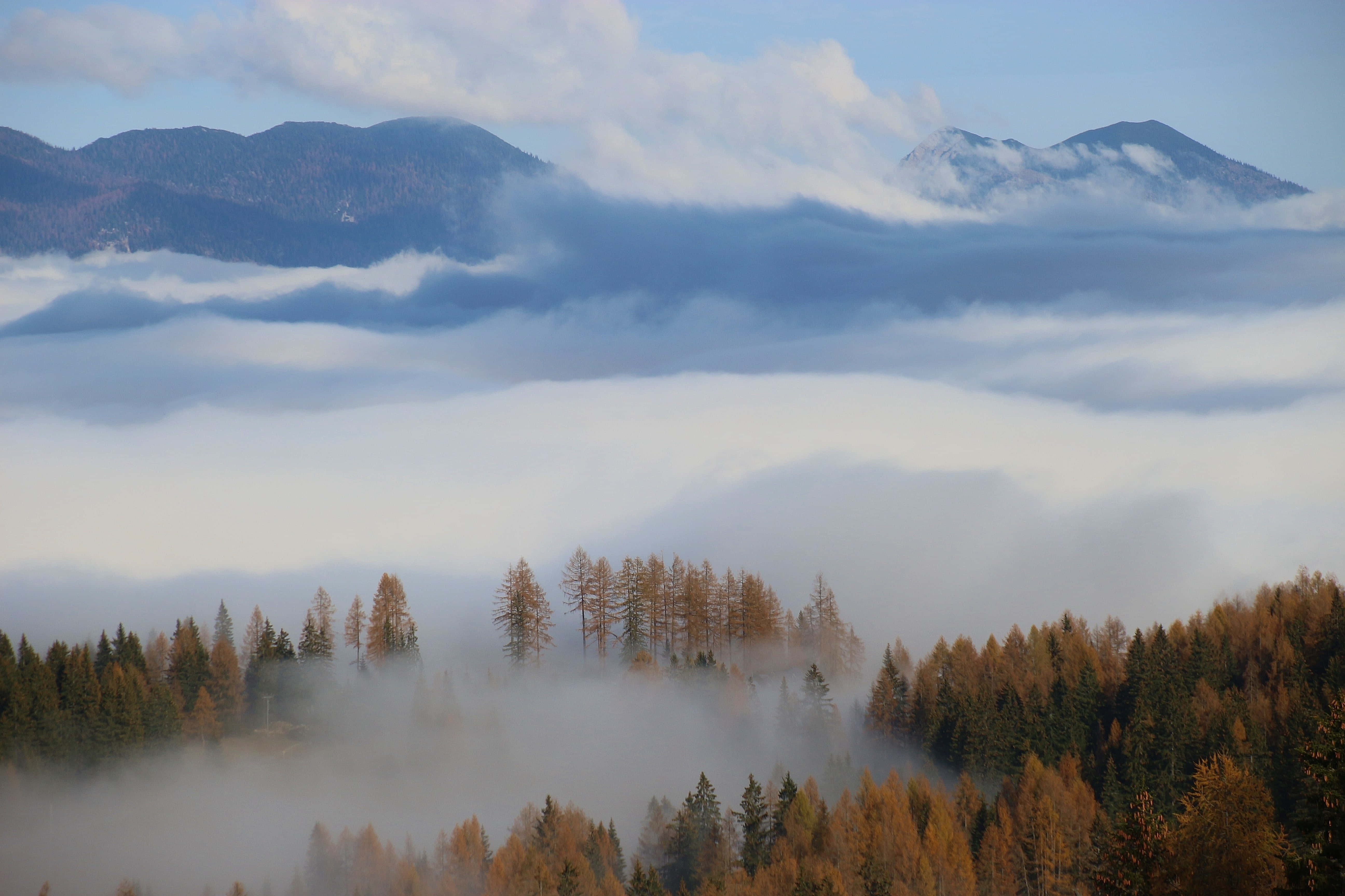 Fall Fog 桌布 壁紙 — 薄霧籠罩的秋日森林，坐落在山谷中，群山在柔和的藍天下聳立於雲海之上。