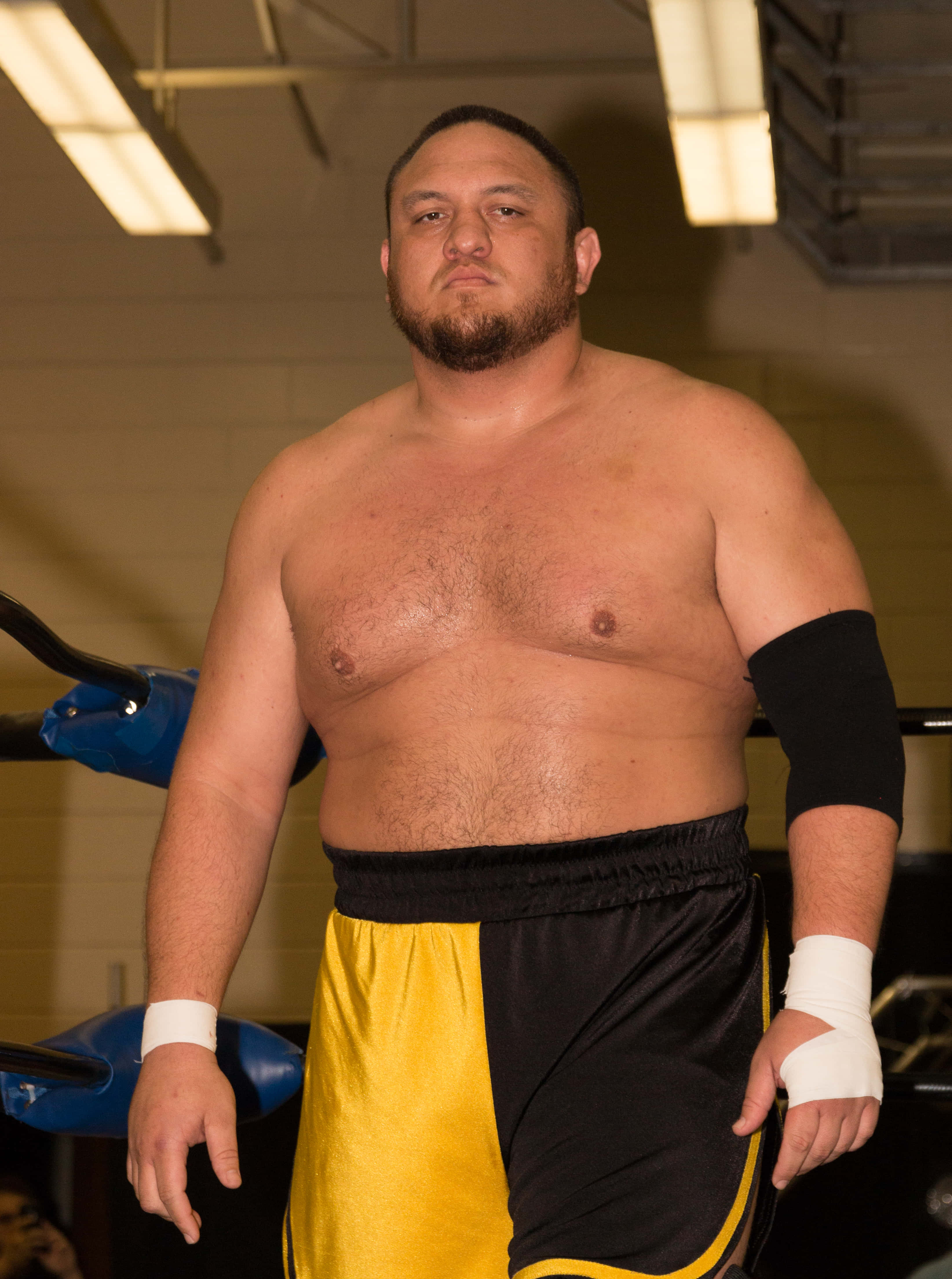 薩摩亞·喬於WWE Live東京賽事幕後準備 壁紙 — 一位肌肉發達的摔角手穿著黃黑相間的短褲，在明亮的頭頂燈光下自信地站在摔角擂台上。
