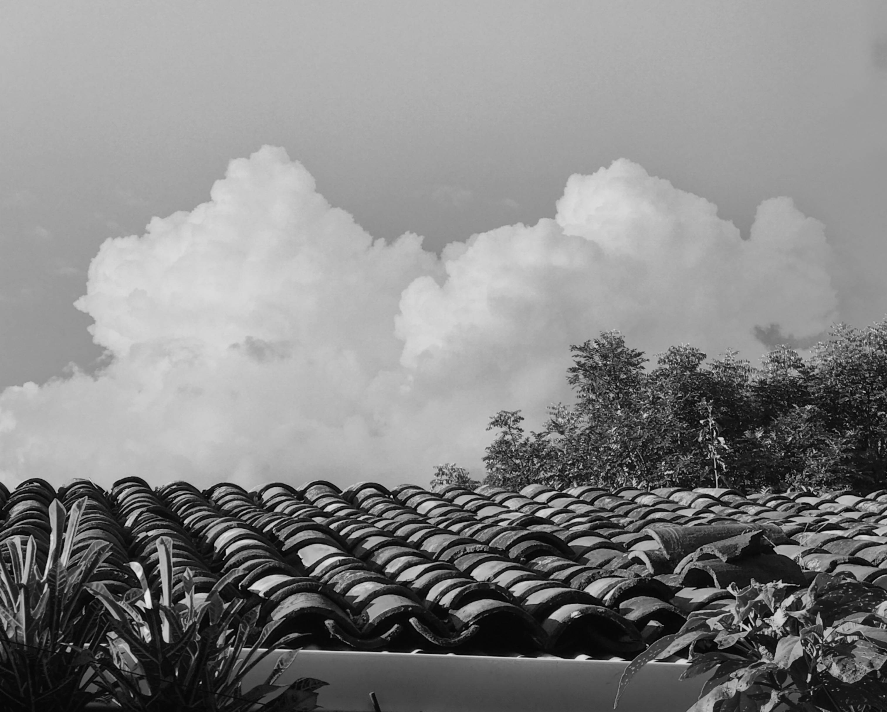 薩爾瓦多暴風雨天空 壁紙 — 單色視圖，呈現紋理黏土屋頂瓦片在戲劇性雲層下的景象，前景由樹葉框住。