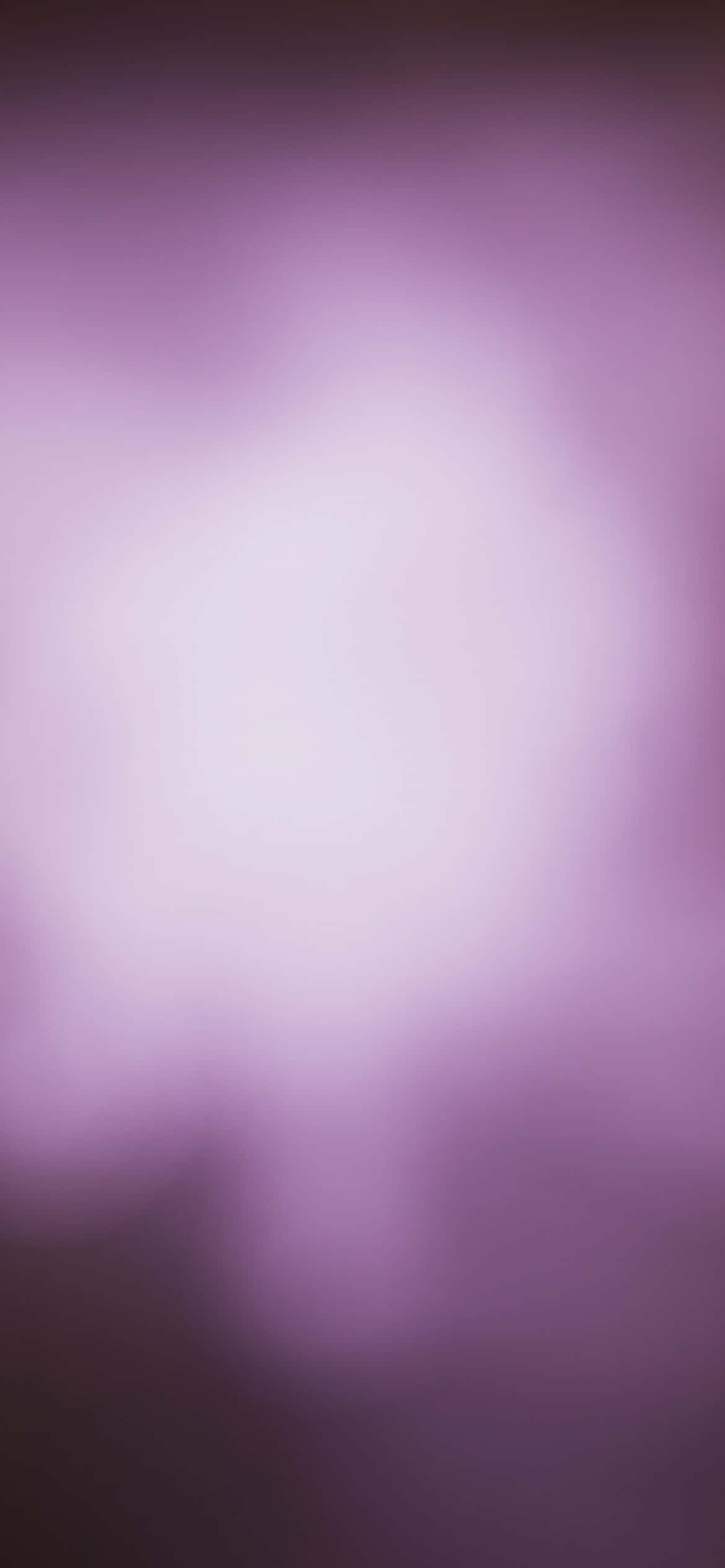 Purple Haze 桌布 壁紙 — 薰衣草和紫紅色的柔和漸變從明亮的中心散發出來，營造出夢幻空靈的光芒。