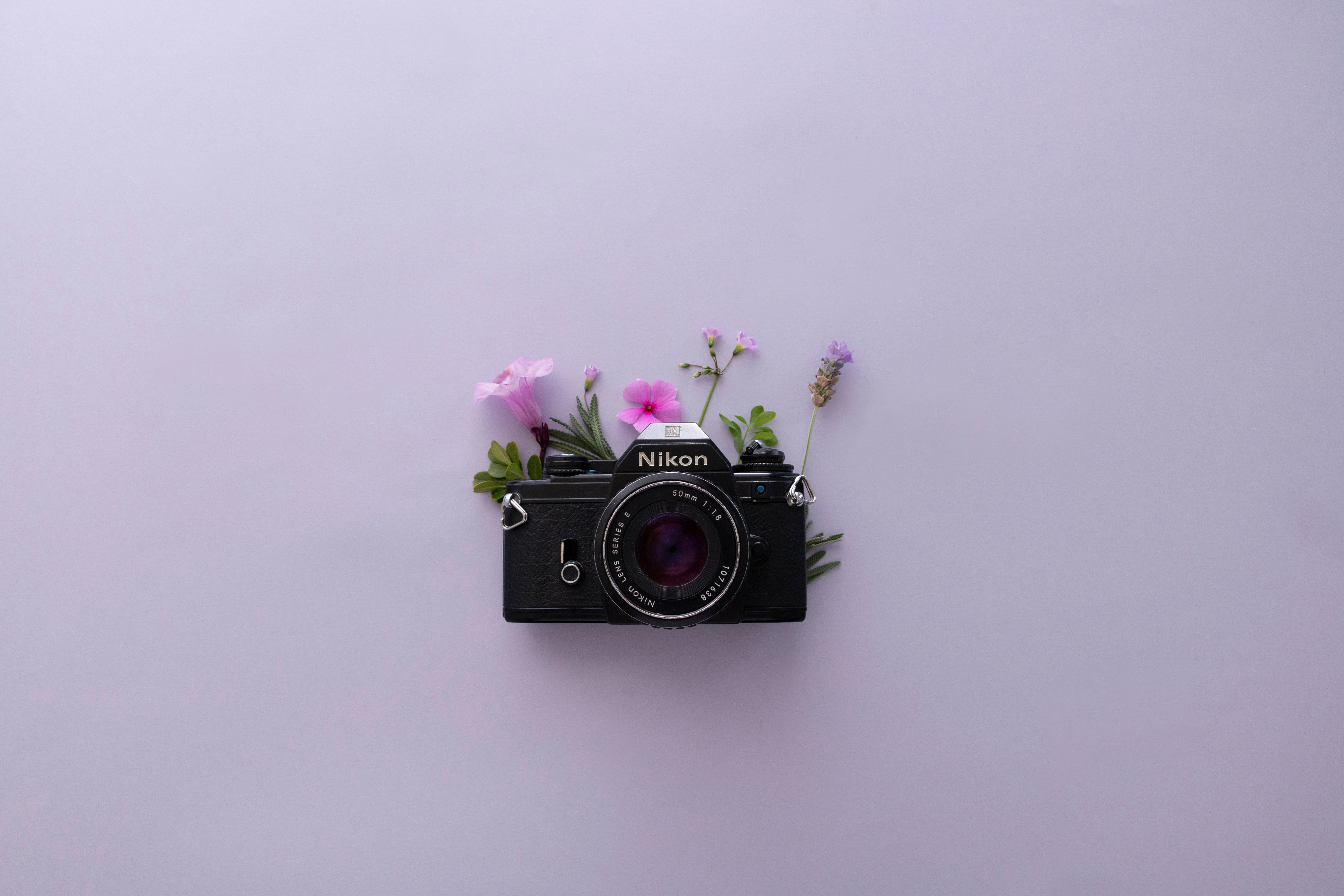 薰衣草風格與尼康相機 壁紙 — 一部黑色Nikon菲林相機，飾以精緻的粉紅色和紫色花朵，放置在柔和的薰衣草背景上。