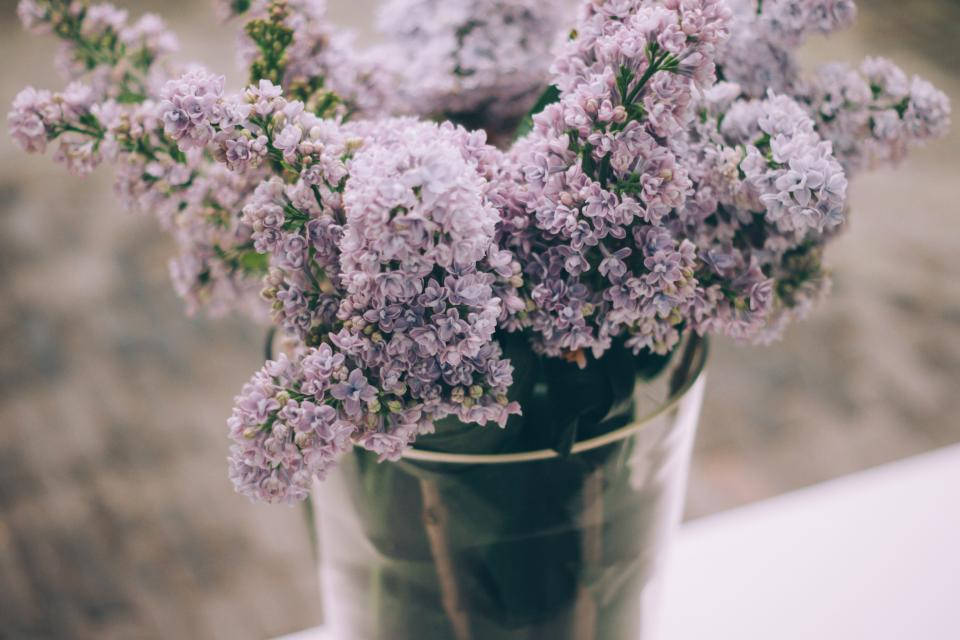 薰衣草風格花束於花瓶 壁紙 — 白色表面上透明玻璃花瓶溢出精緻薰衣草丁香花的柔焦特寫。