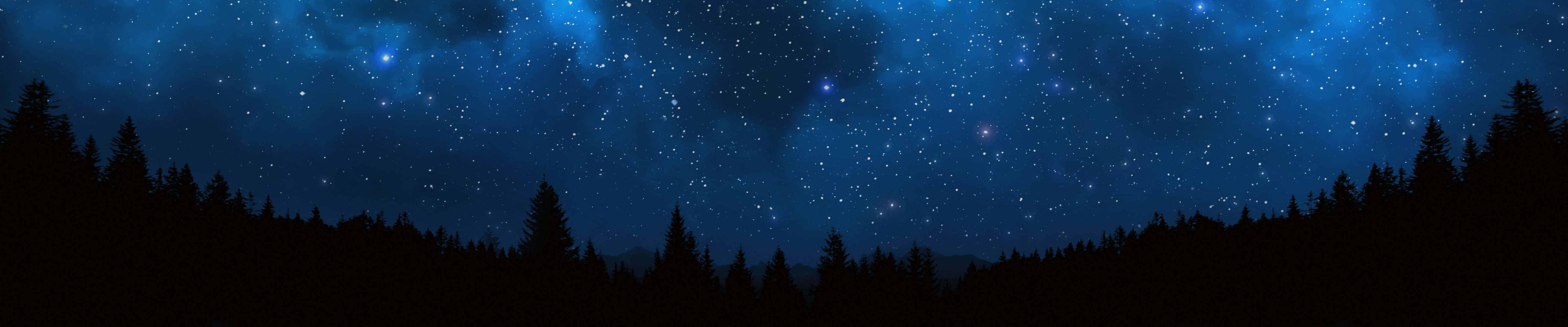 深藍色調的星空夜空下，黑暗的松林剪影。