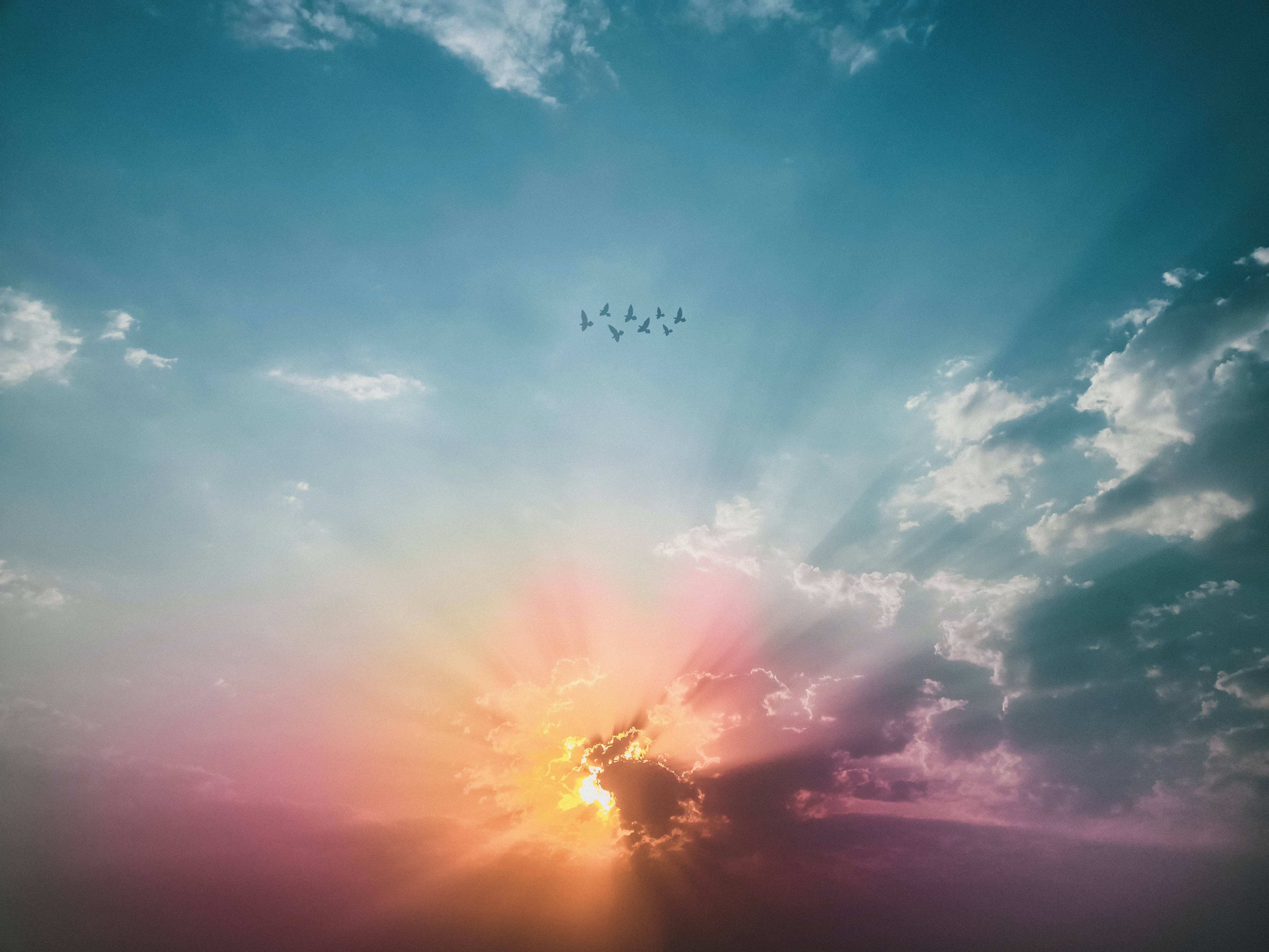 藍天飛鳥的唯美天空 壁紙 — 夕陽穿透雲層，鳥兒以V字形隊列飛過充滿活力的天空。