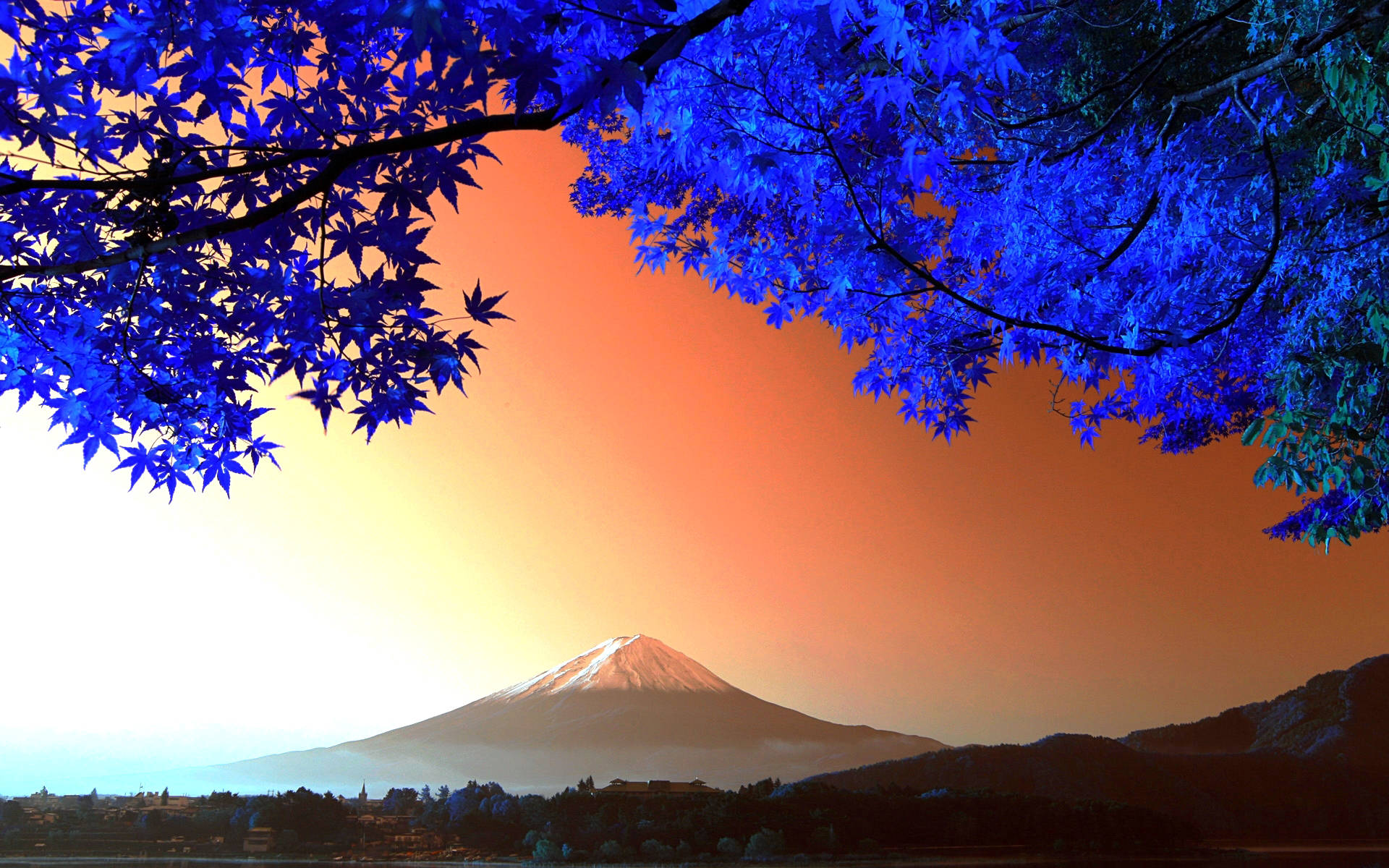 藍色楓葉框住日落時的富士山。