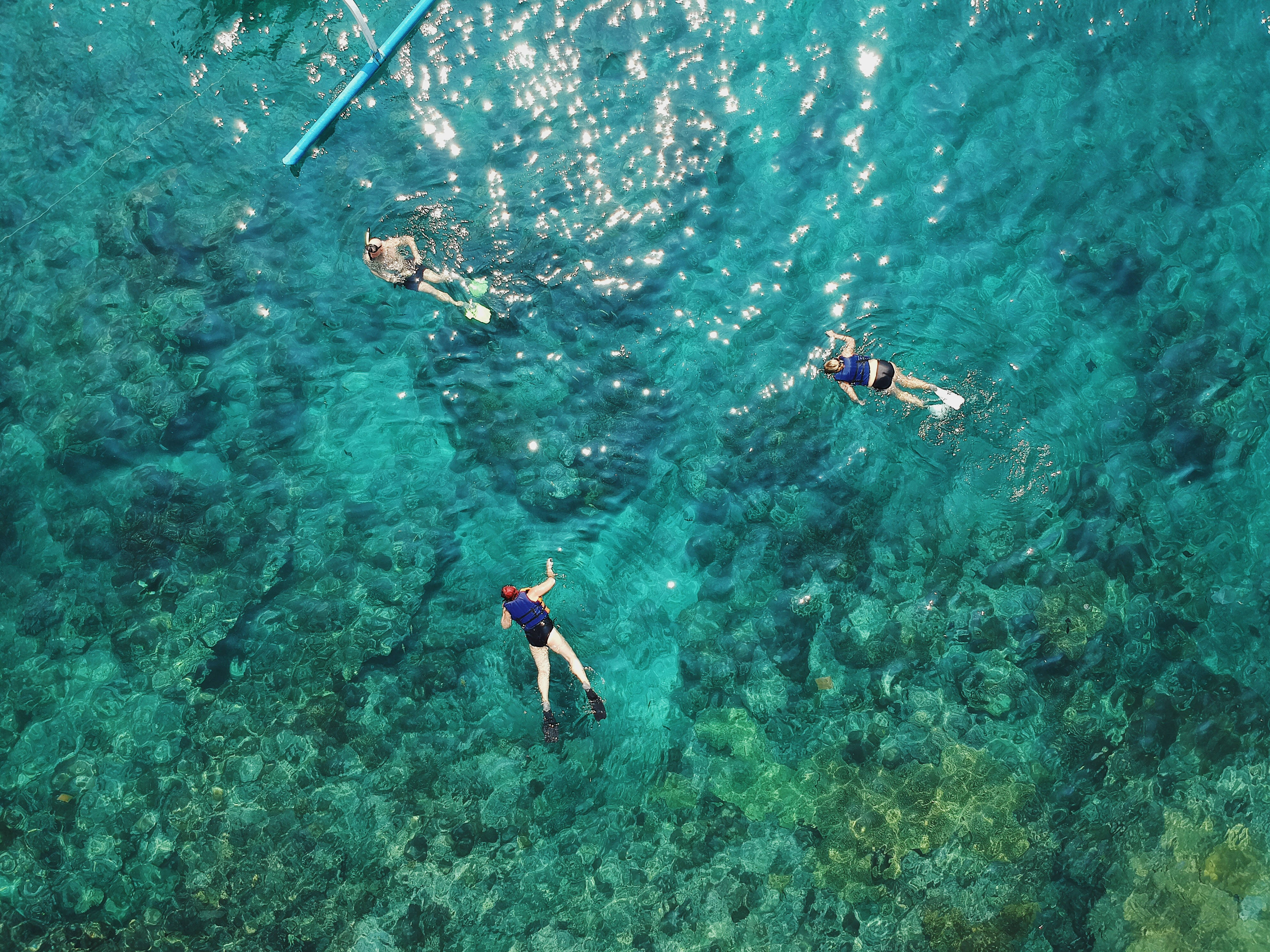 藍潟湖三人潛水 壁紙 — 三名浮潛者滑過清澈碧綠的海水，露出下方充滿活力的珊瑚礁。