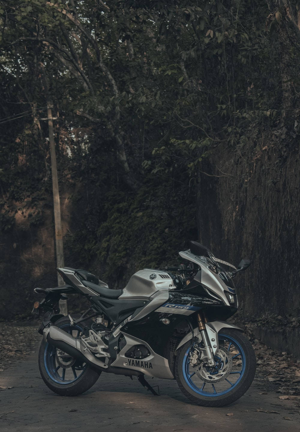 銀色Yamaha跑車電單車，藍色輪圈，停泊在樹林地區。