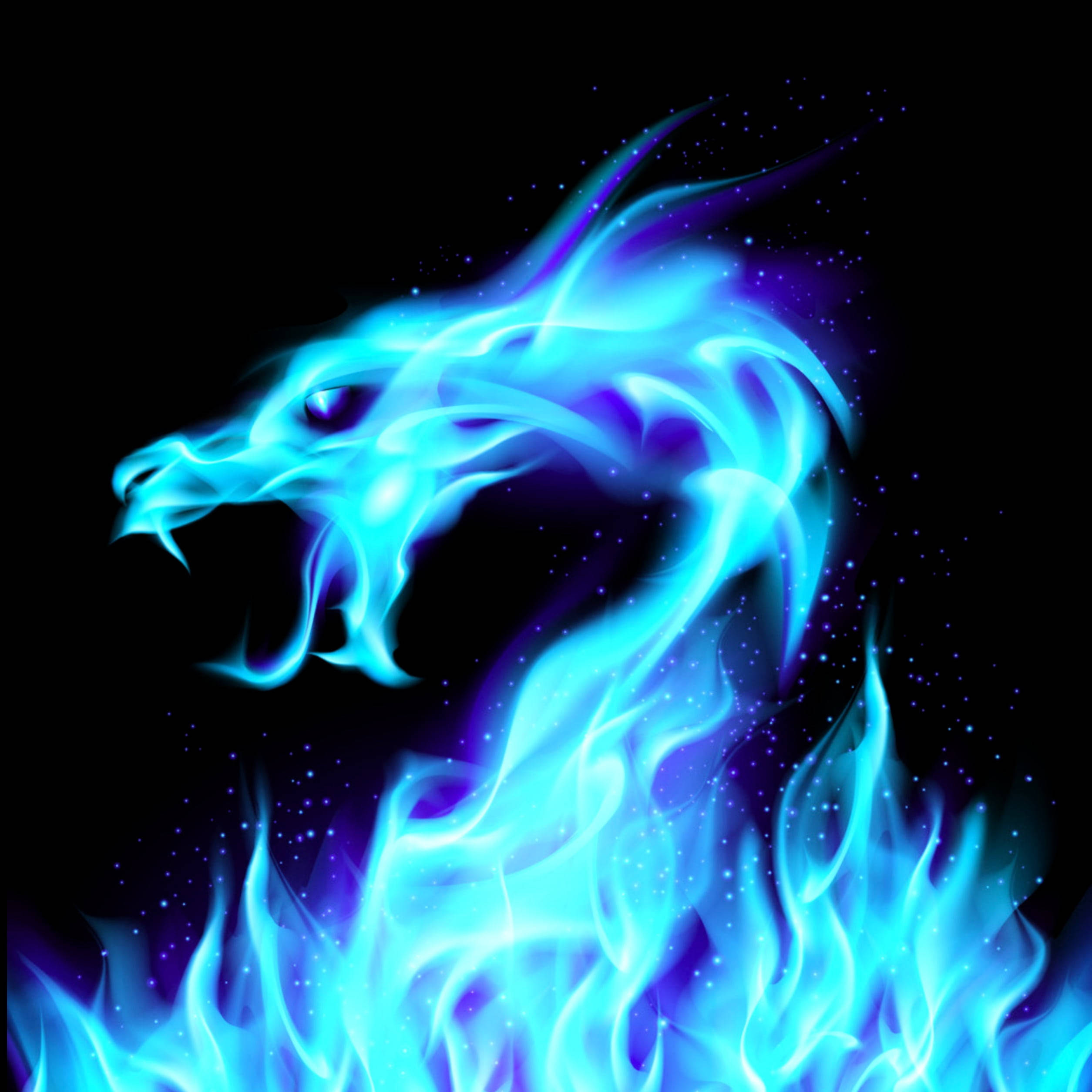 藍焰龍 壁紙 — 一個發光的藍色龍頭從熾熱的火焰中浮現，背景是繁星點點的黑色。