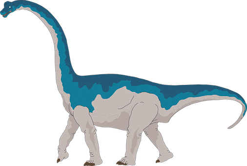 藍白長頸龍插畫