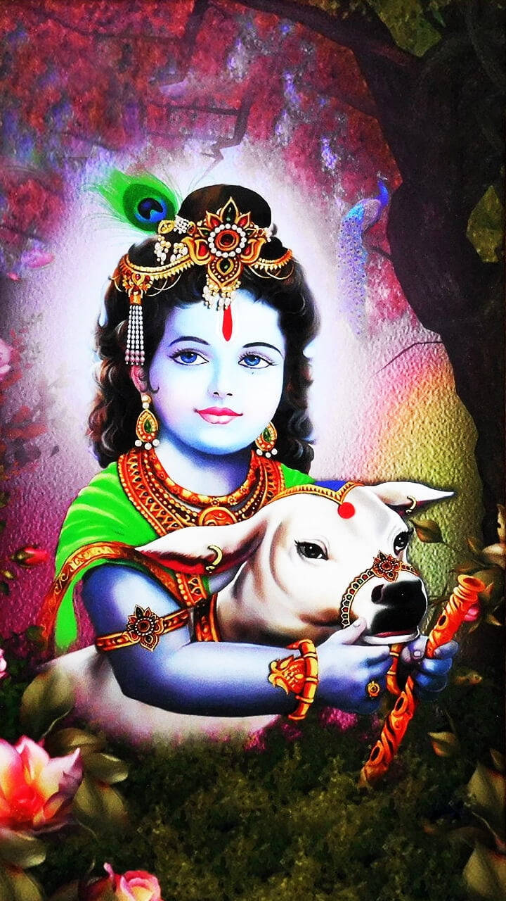 Indian 桌布 壁紙 — 藍皮膚的神聖孩子克里希納抱著一隻飾有珠寶的小牛，背景是充滿活力的花卉和孔雀羽毛。