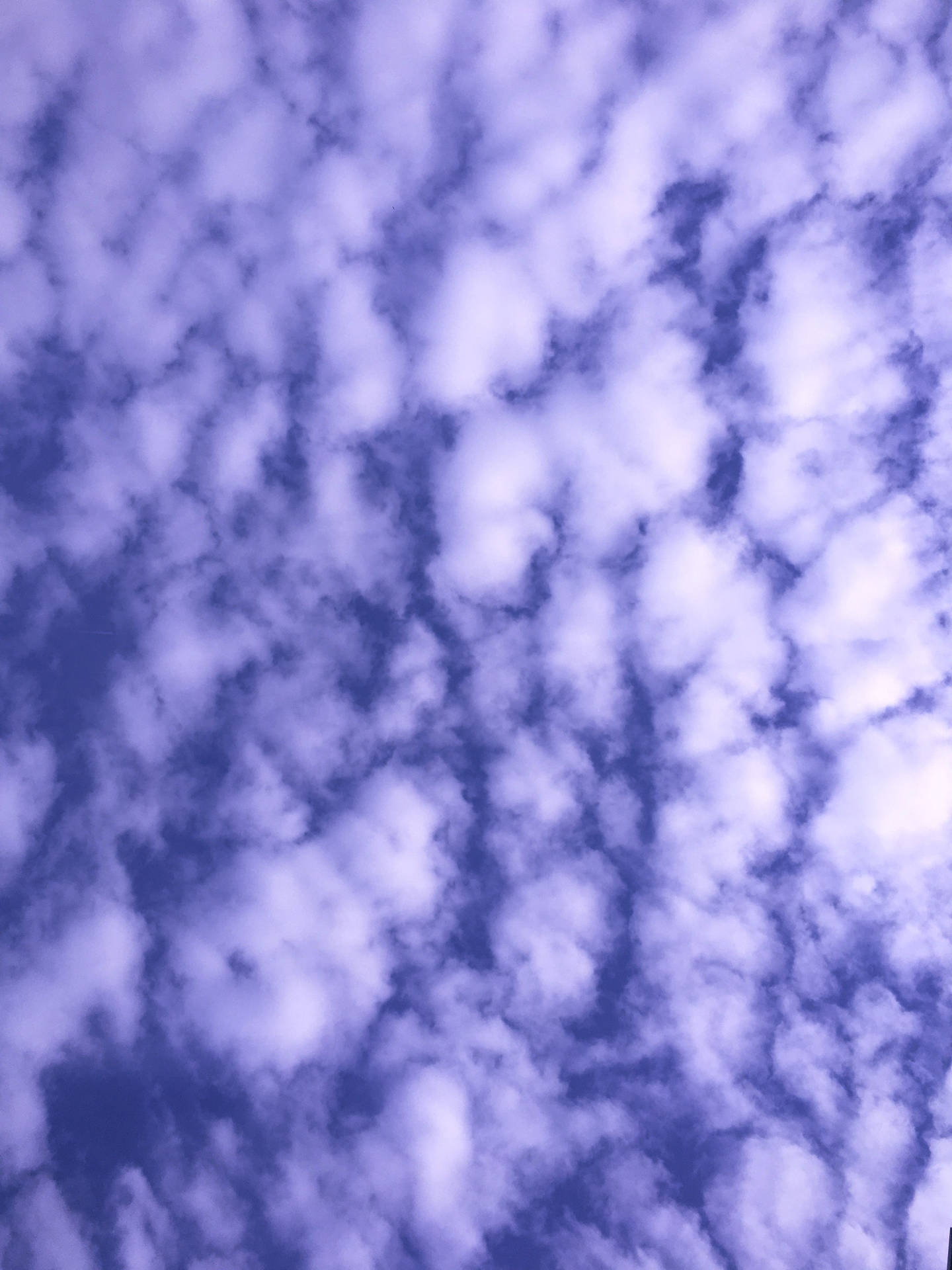紫色和白色雲彩飄過暮色天空。