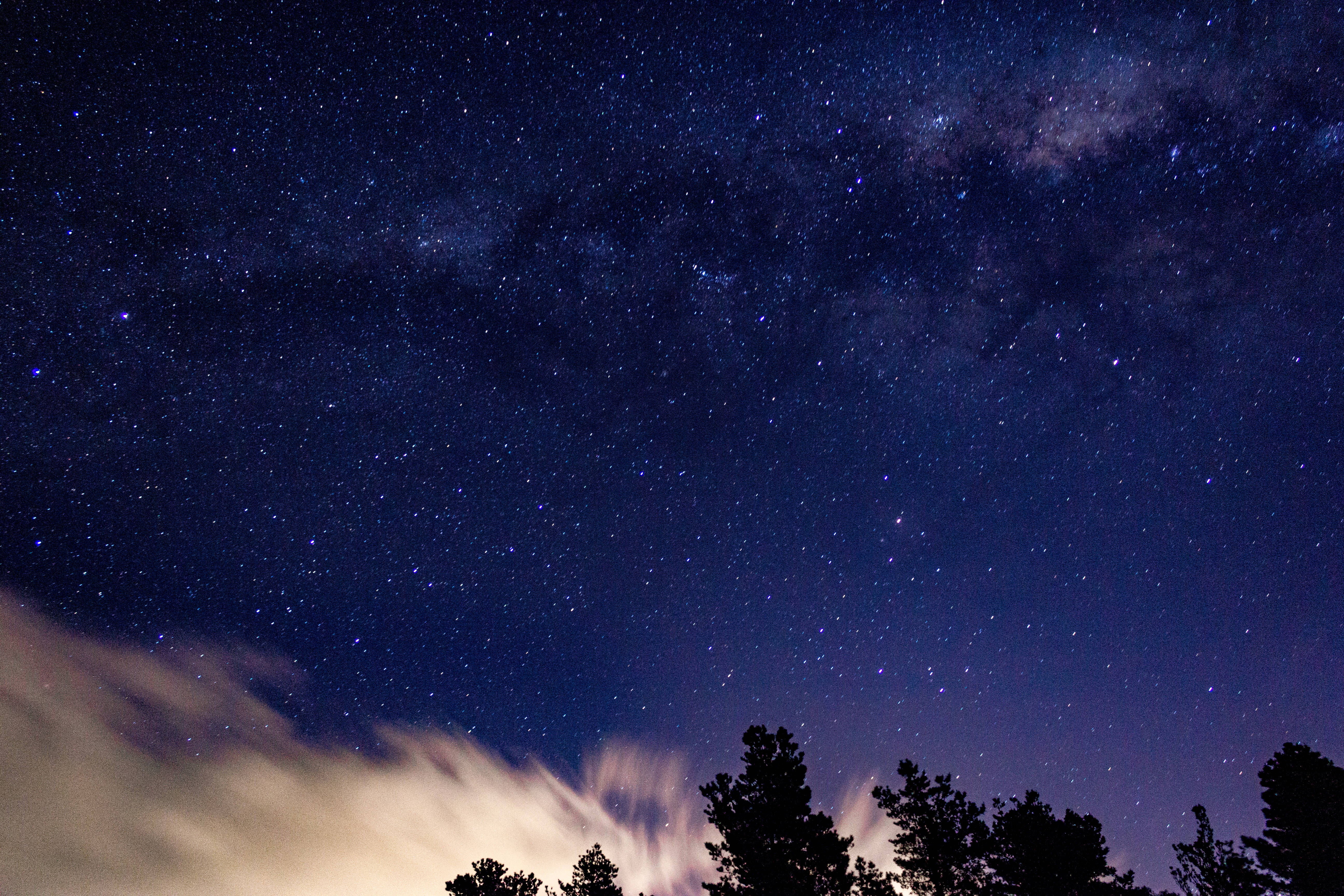 藍紫色星系懸於樹林之上 壁紙 — 一個令人嘆為觀止的夜空，充滿無數星星和銀河，拱形在剪影樹木和發光的雲層之上。