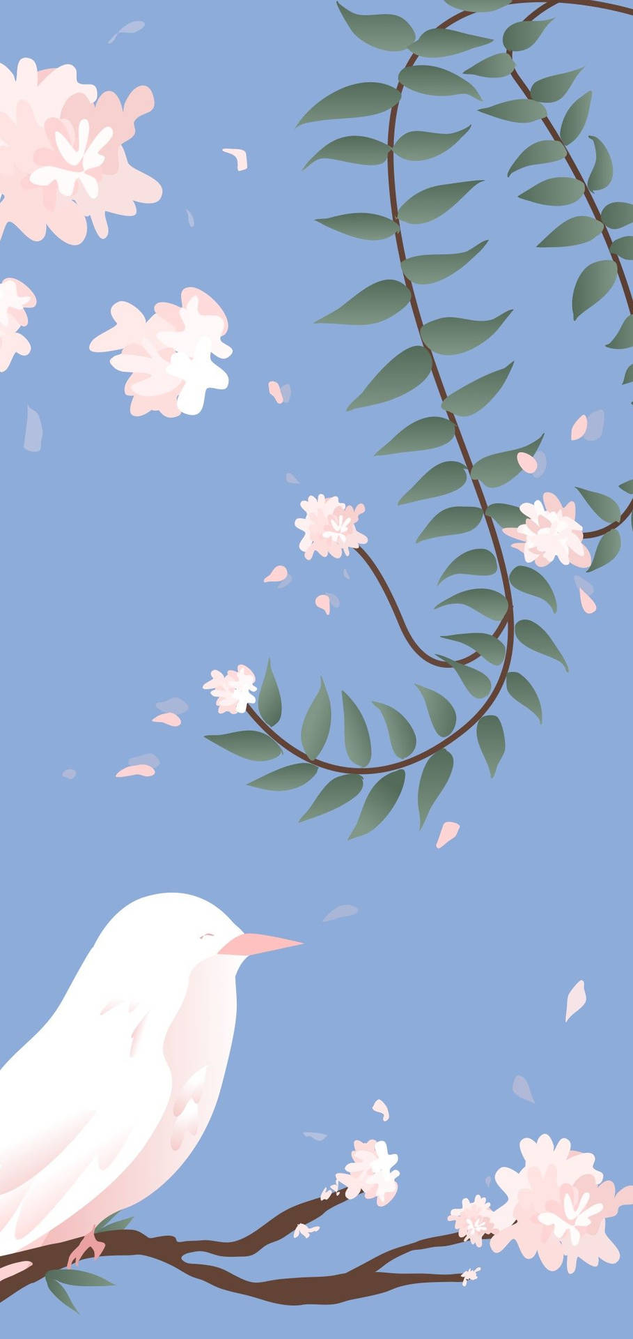 白色小鳥在櫻花枝上，花瓣飄落，藍天背景 — 唯美蝴蝶動圖 壁紙