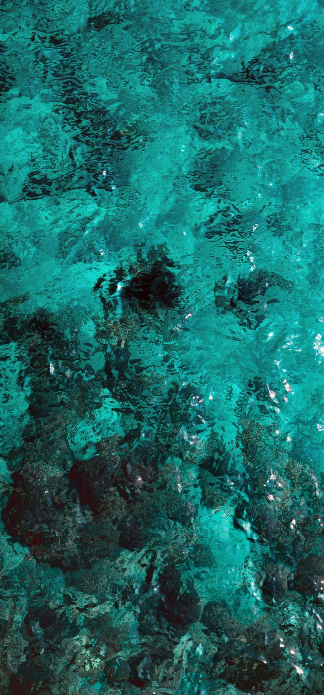 Turquoise Green 桌布 壁紙 — 藍綠色海水在下方深色珊瑚礁上泛起漣漪，陽光在水面上閃爍舞動。