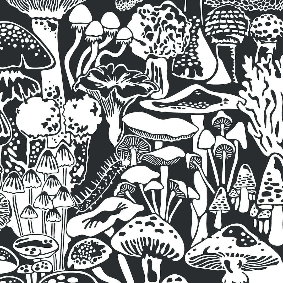 藍綠色調的迷幻蘑菇海洋 壁紙 — 一幅密集的黑白插圖，描繪各種風格化的蘑菇，帶有複雜的圖案和紋理。