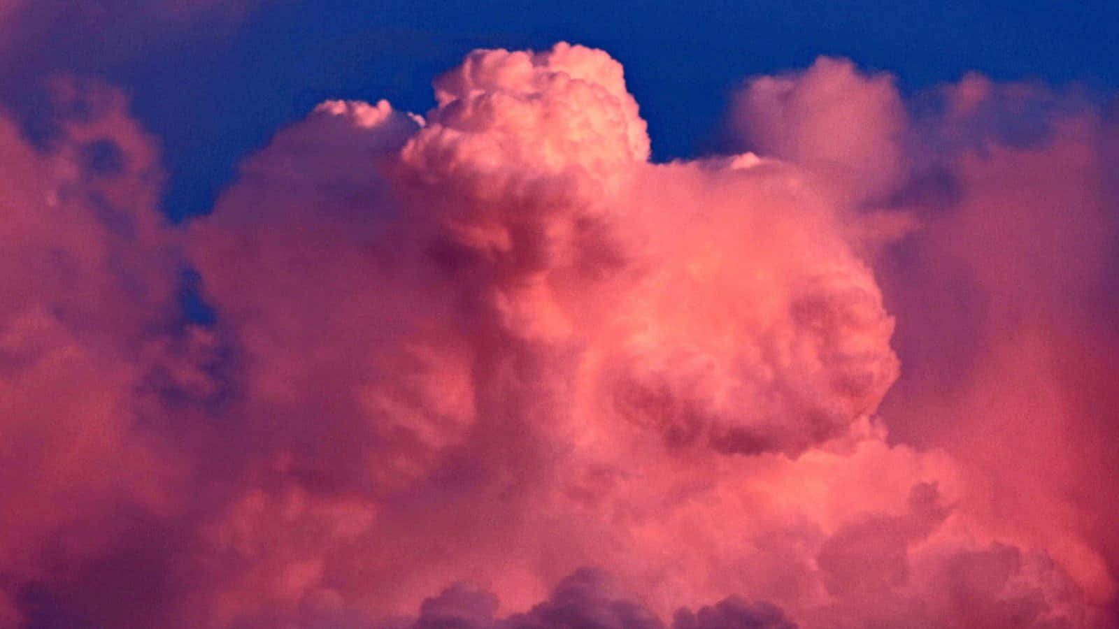 藍與粉紅雲朵背景 壁紙 — 豐厚的雲朵在暮色天空中閃耀著火熱的粉紅色和深藍色。