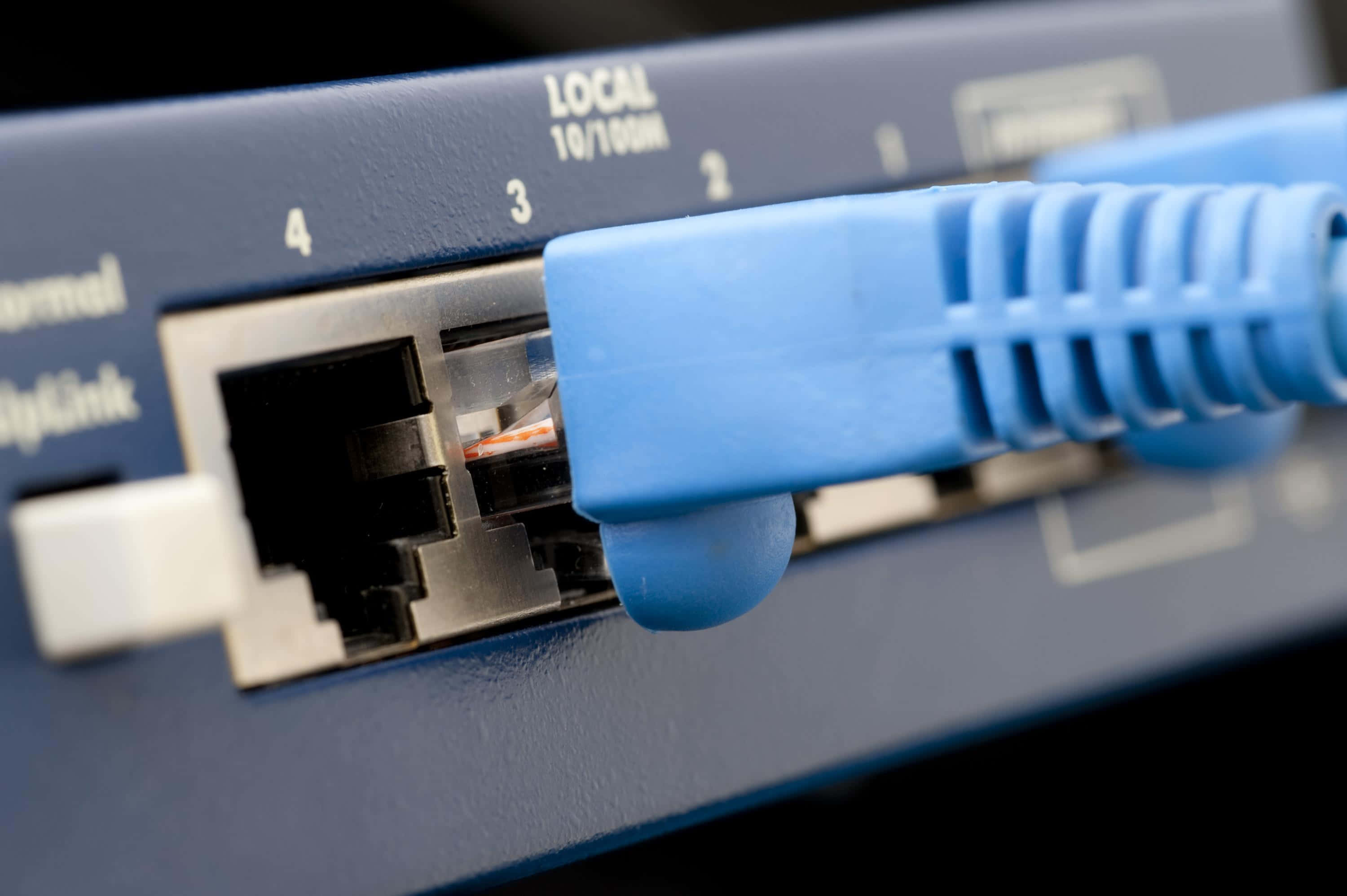 Ethernet 桌布 壁紙 — 藍色以太網電纜插入標有 local 10100m 的網絡路由器端口的特寫。