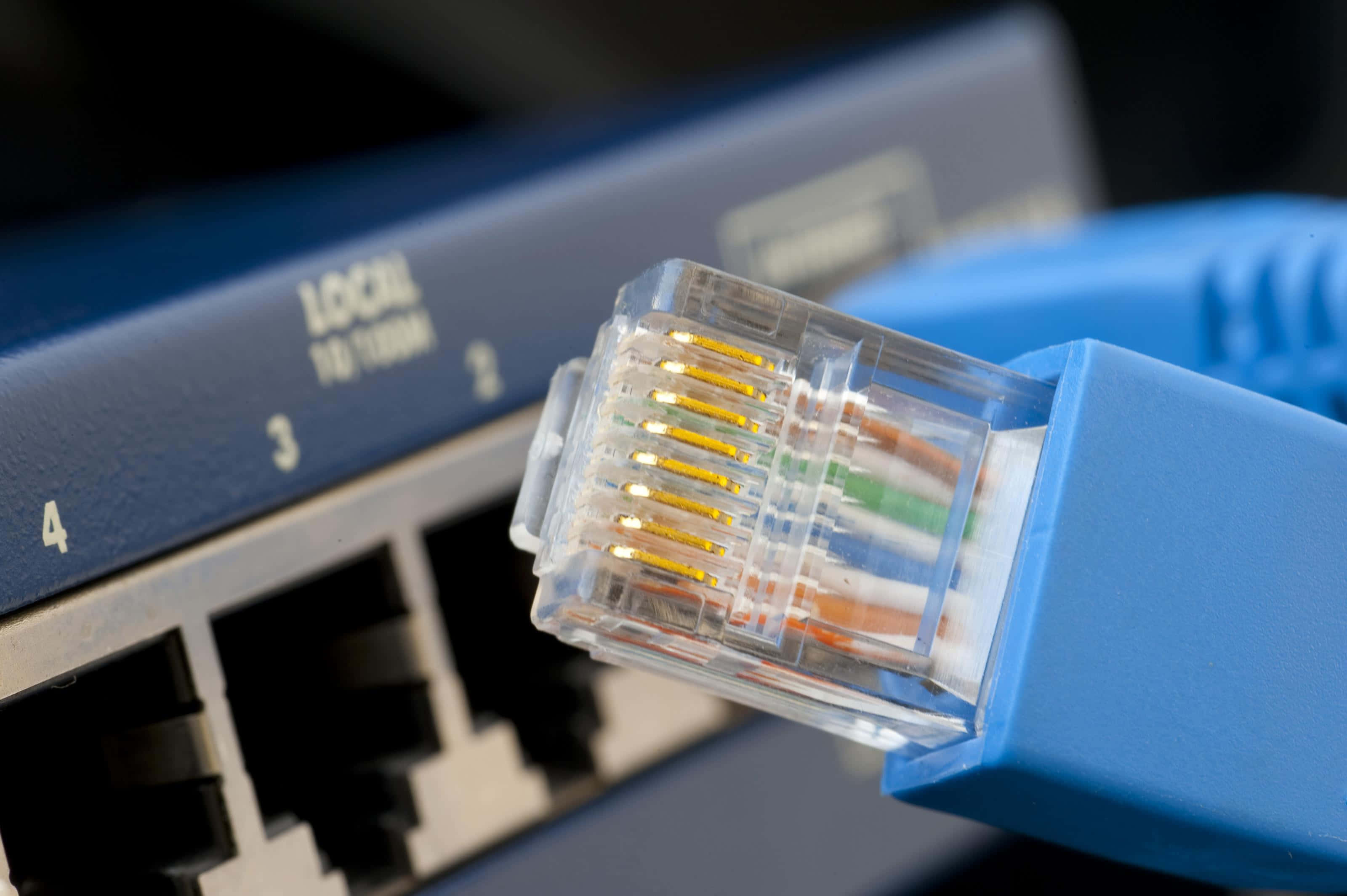 Ethernet 桌布 壁紙 — 藍色以太網電纜插入網絡交換機端口的特寫，顯示內部電線顏色。