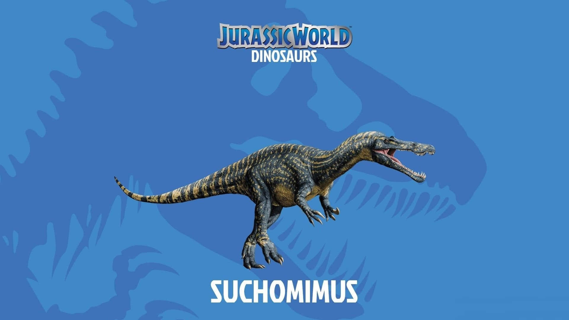藍色侏羅紀世界似鱷龍 壁紙 — 一隻咆哮的棘龍（Suchomimus）恐龍，帶有條紋皮膚，在藍色背景上跳躍，背景有模糊的恐龍剪影和 Jurassic World 品牌標誌。
