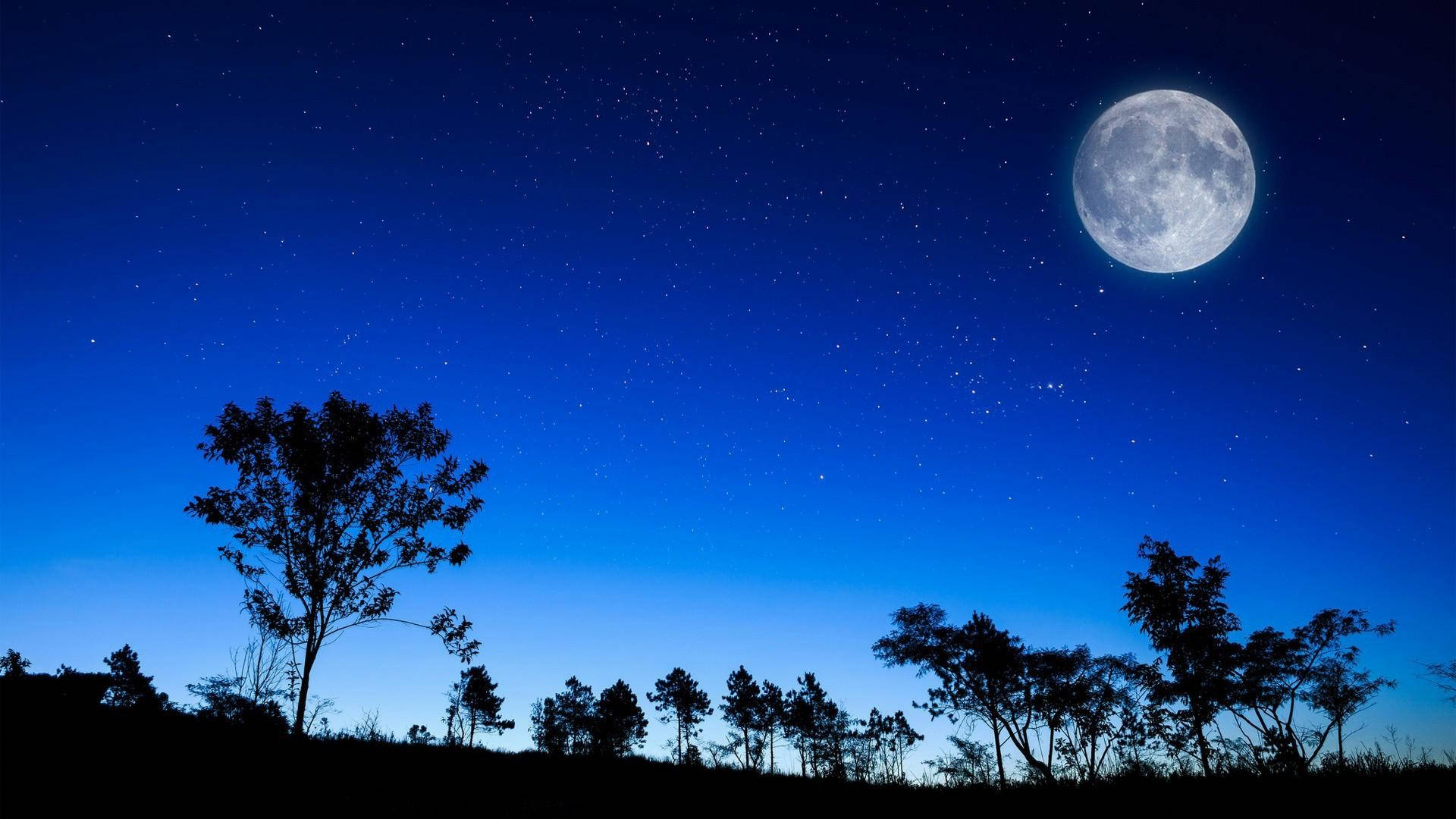 藍色夜空中的美麗滿月 壁紙 — 寧靜的夜景，滿月在星空深藍色天空的襯托下，在樹木剪影上方發光。