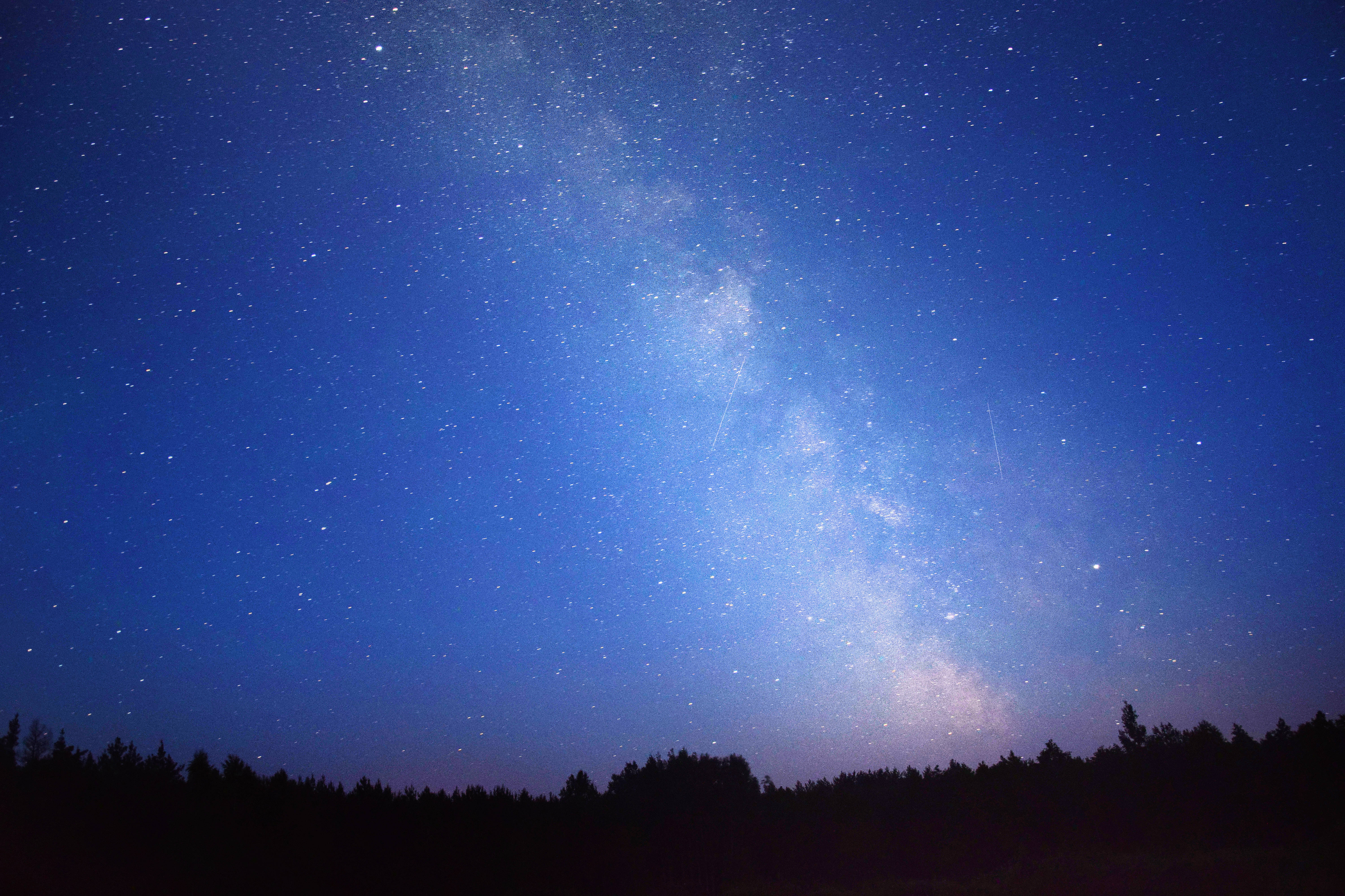 藍色星系與樹林上的銀河 壁紙 — 令人屏息的夜空佈滿無數星星，發光的銀河在黑暗的森林剪影上方拱起。
