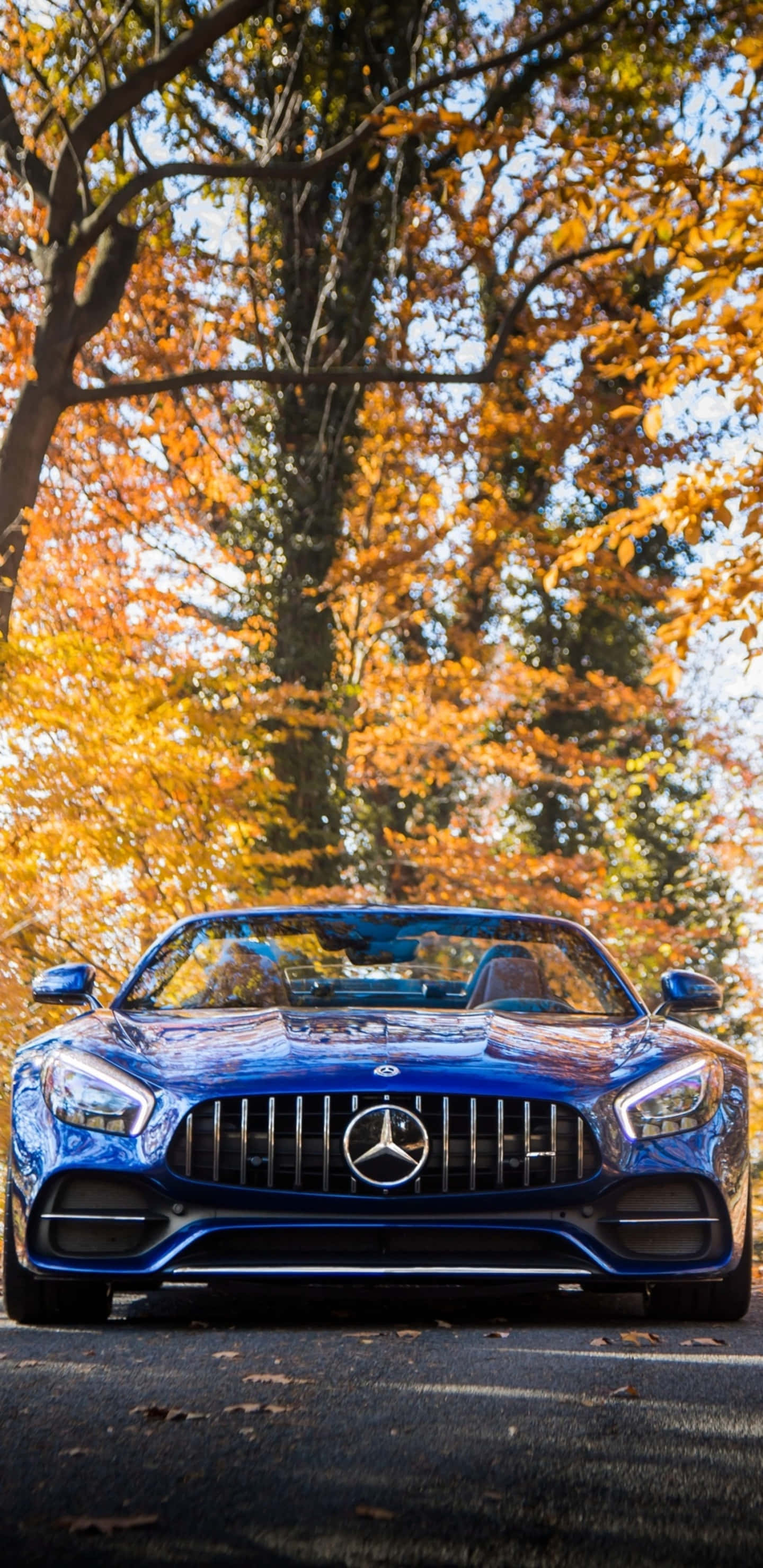 藍色梅賽德斯-奔馳配秋樹 Pixel 3XL AMG GT-R 背景 壁紙 — 一輛光亮的藍色梅賽德斯開篷車停泊在充滿活力的秋樹下，樹上掛著金黃色的葉子。