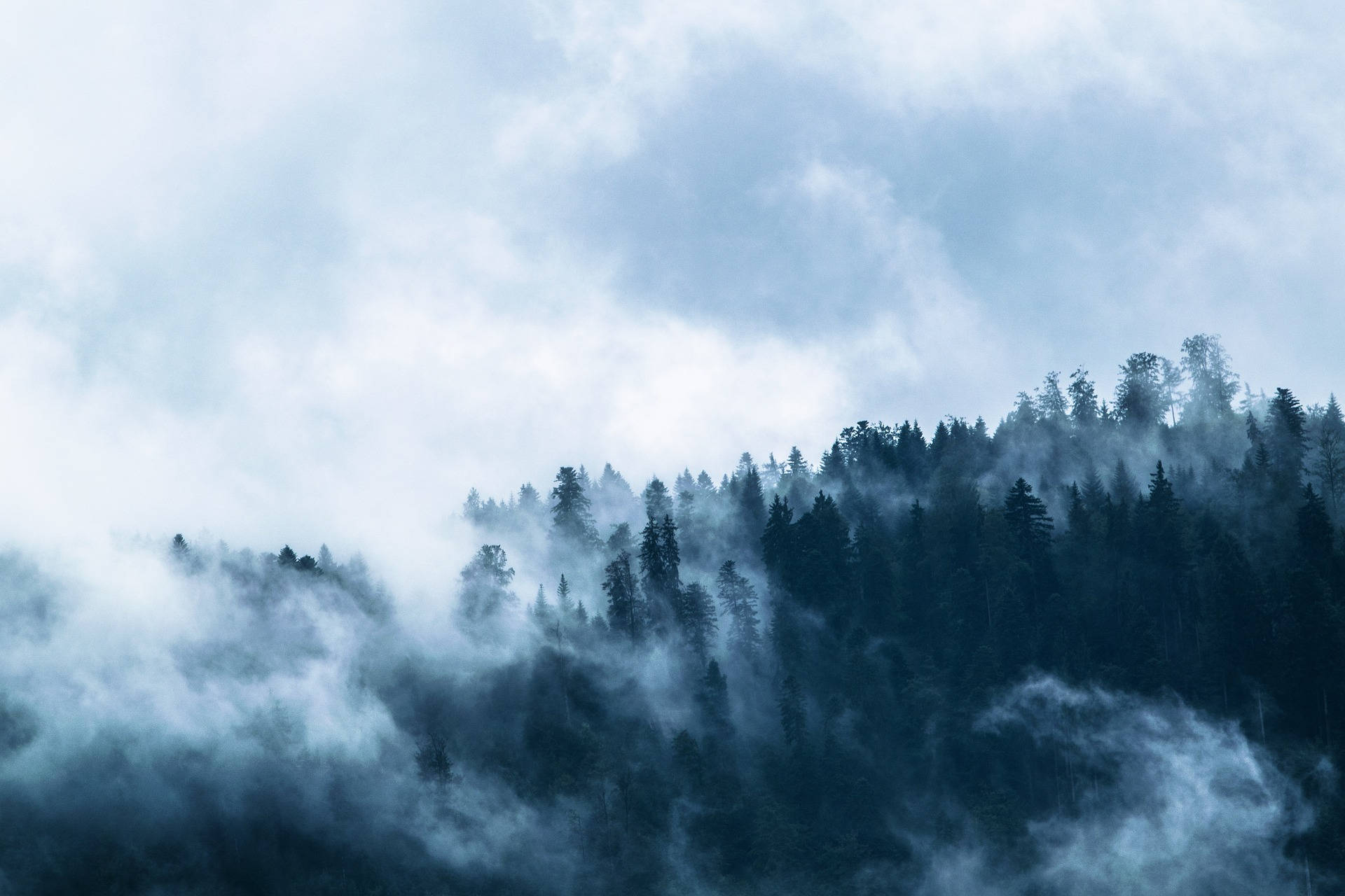 多雲天空下山脊上的霧林