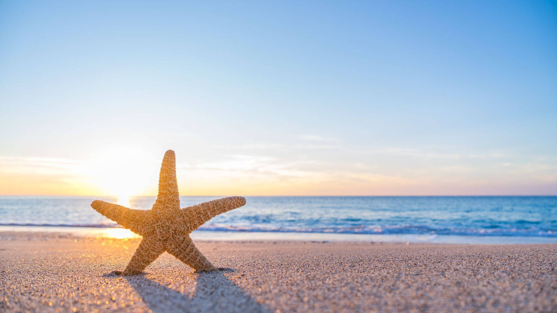 金色夕陽與平靜海浪下的海星沙灘