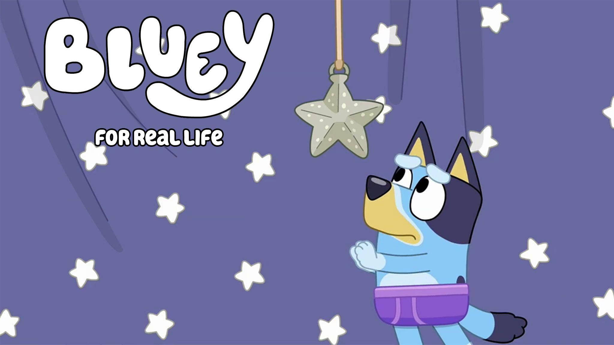 Bluey 桌布 壁紙 — 藍色牧牛犬小狗Bluey抬頭看著掛在紫色星空背景上的星星裝飾。