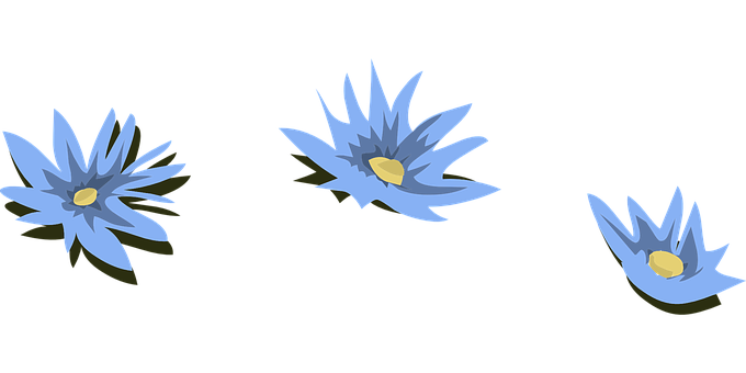 藍色睡蓮插畫