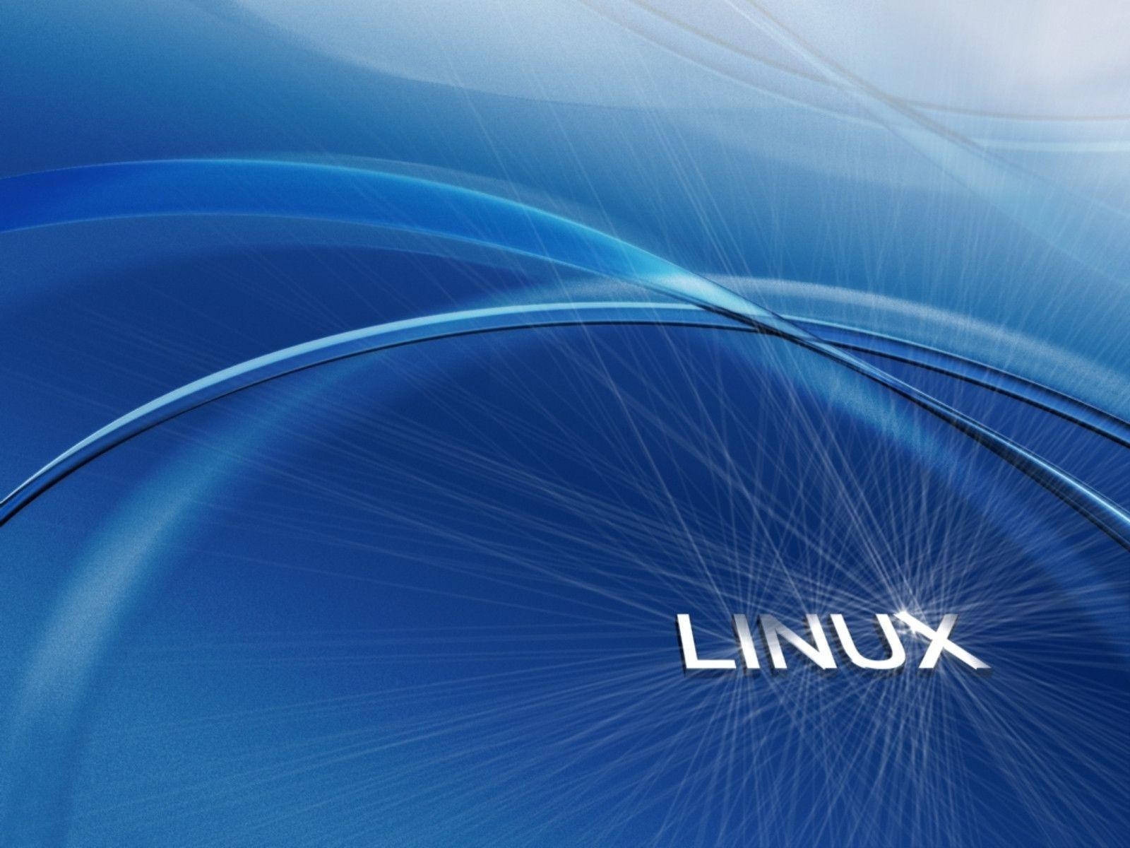 藍色抽象數位背景，帶有銀色文字 LINUX。