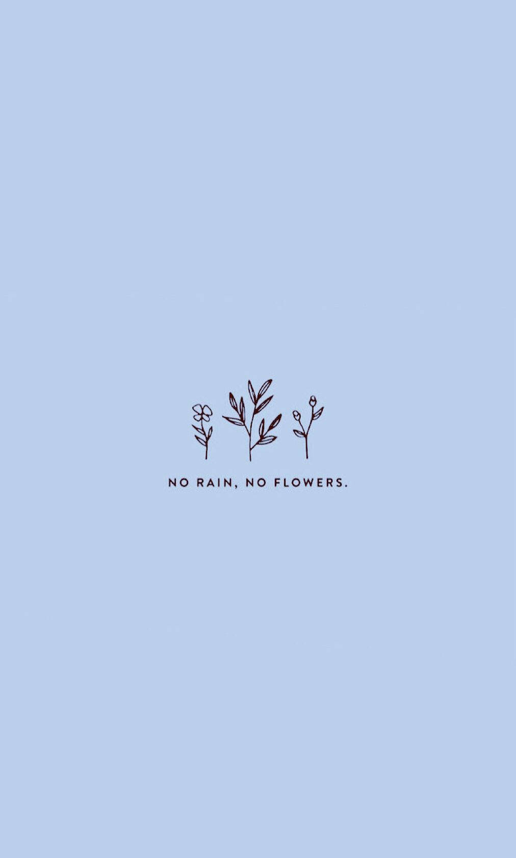 三棵線條繪製的植物，藍色背景上有文字 no rain no flowers