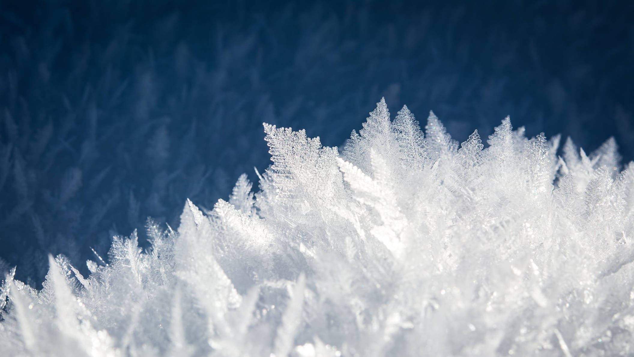 藍色美學雪花晶體 壁紙 — 精緻的白色霜晶在深藍色模糊背景上形成複雜的羽毛狀圖案。