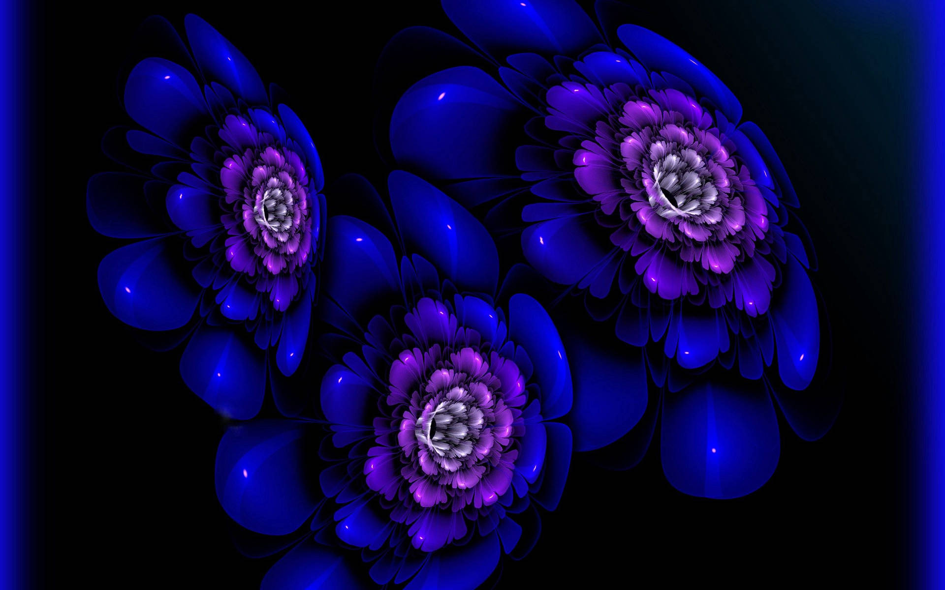 黑色背景上的三朵發光藍色和紫色碎形花朵。
