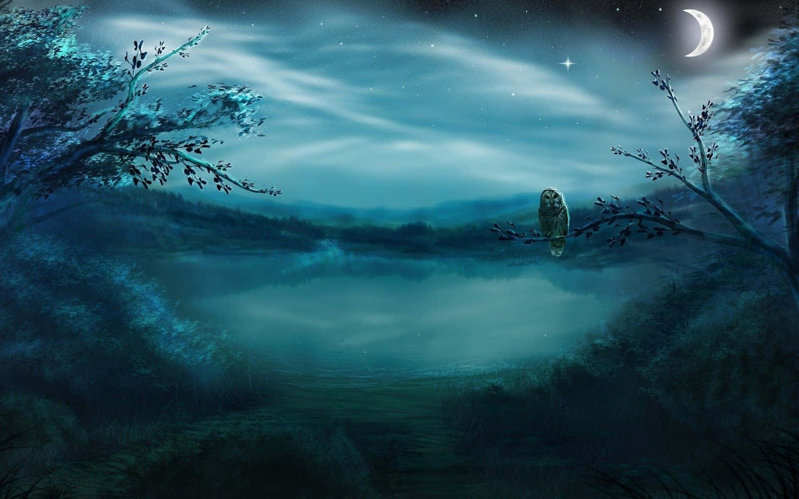 藍色貓頭鷹背景 壁紙
