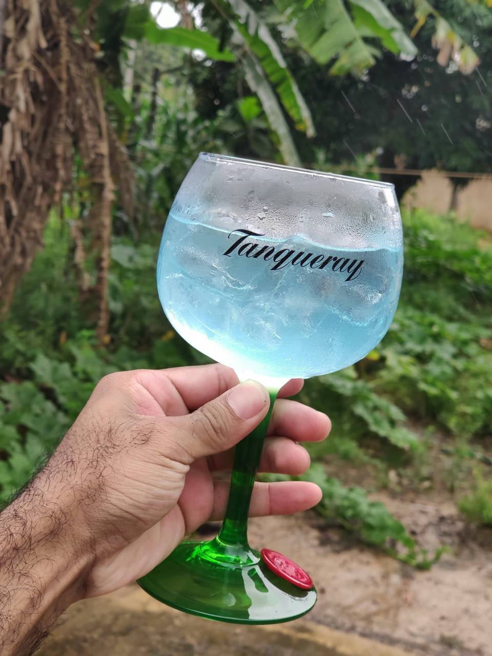 藍色雞尾酒盛於Tanqueray金酒高腳杯 壁紙 — 一隻手拿著一個綠色莖的氈酒杯，裡面裝滿藍色液體和冰塊，背景是茂密的雨林。