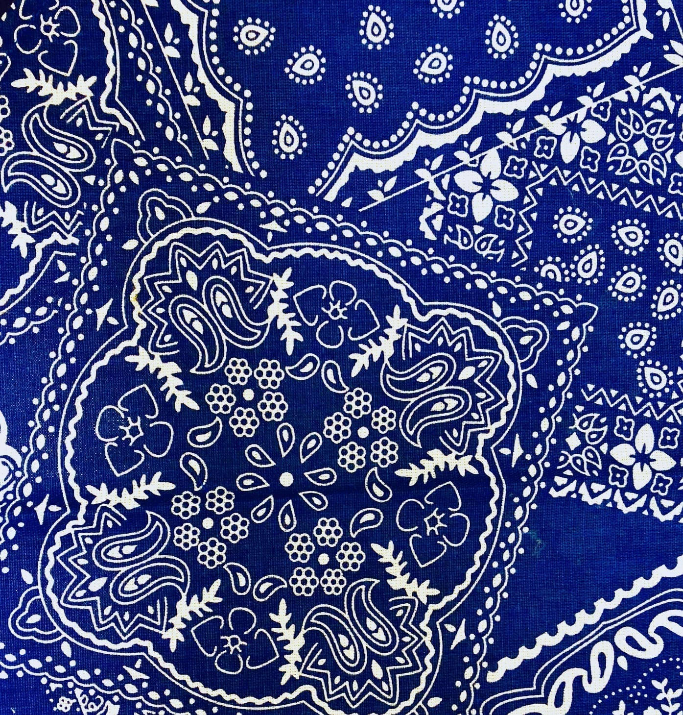 藍色頭巾經典印花設計 壁紙 — 華麗的皇家藍色頭巾特寫，帶有複雜的白色佩斯利花卉圖案和扇貝邊緣。