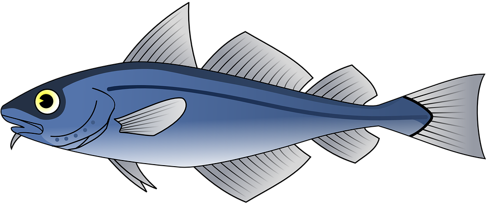 藍色魚類插圖 壁紙