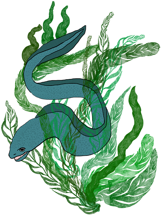 藍色鰻魚穿過海藻插畫 壁紙 — 一條有斑點的藍色鰻魚在鮮綠色海藻間優雅游動，背景為純黑色。