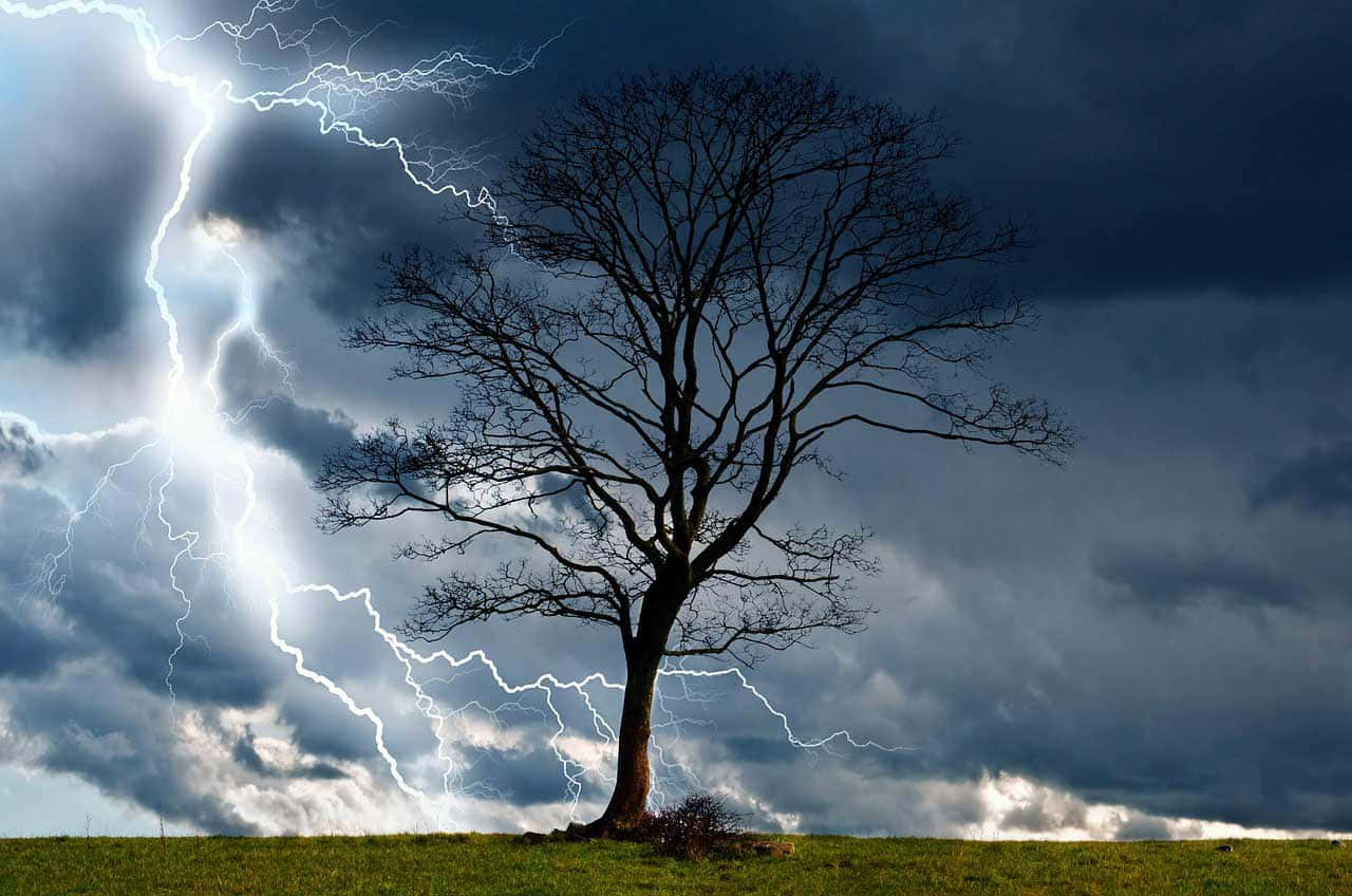 藍色黃昏中的電光橫跨天際 壁紙 — 一棵孤獨的禿樹在暴風雨的天空下形成剪影，明亮的閃電戲劇性地在烏雲中分叉。