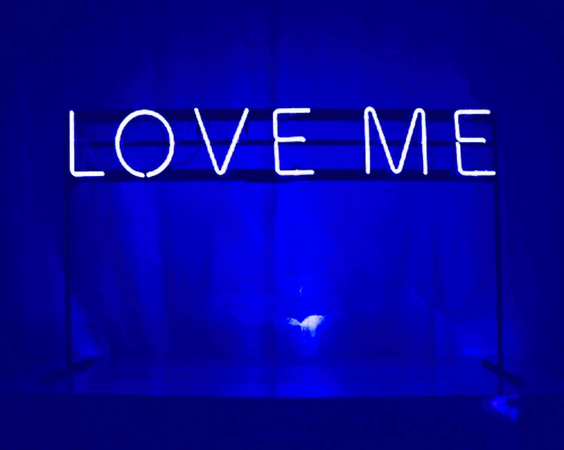 一個發光的霓虹燈牌，上面寫著 LOVE ME，在昏暗的藍色燈光房間中。
