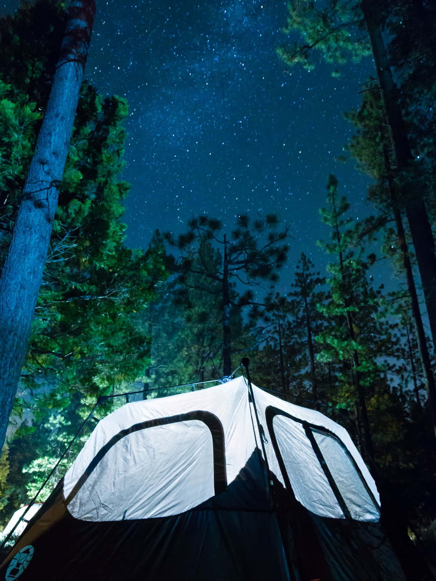 松樹林中星空下的一個白色露營帳篷。