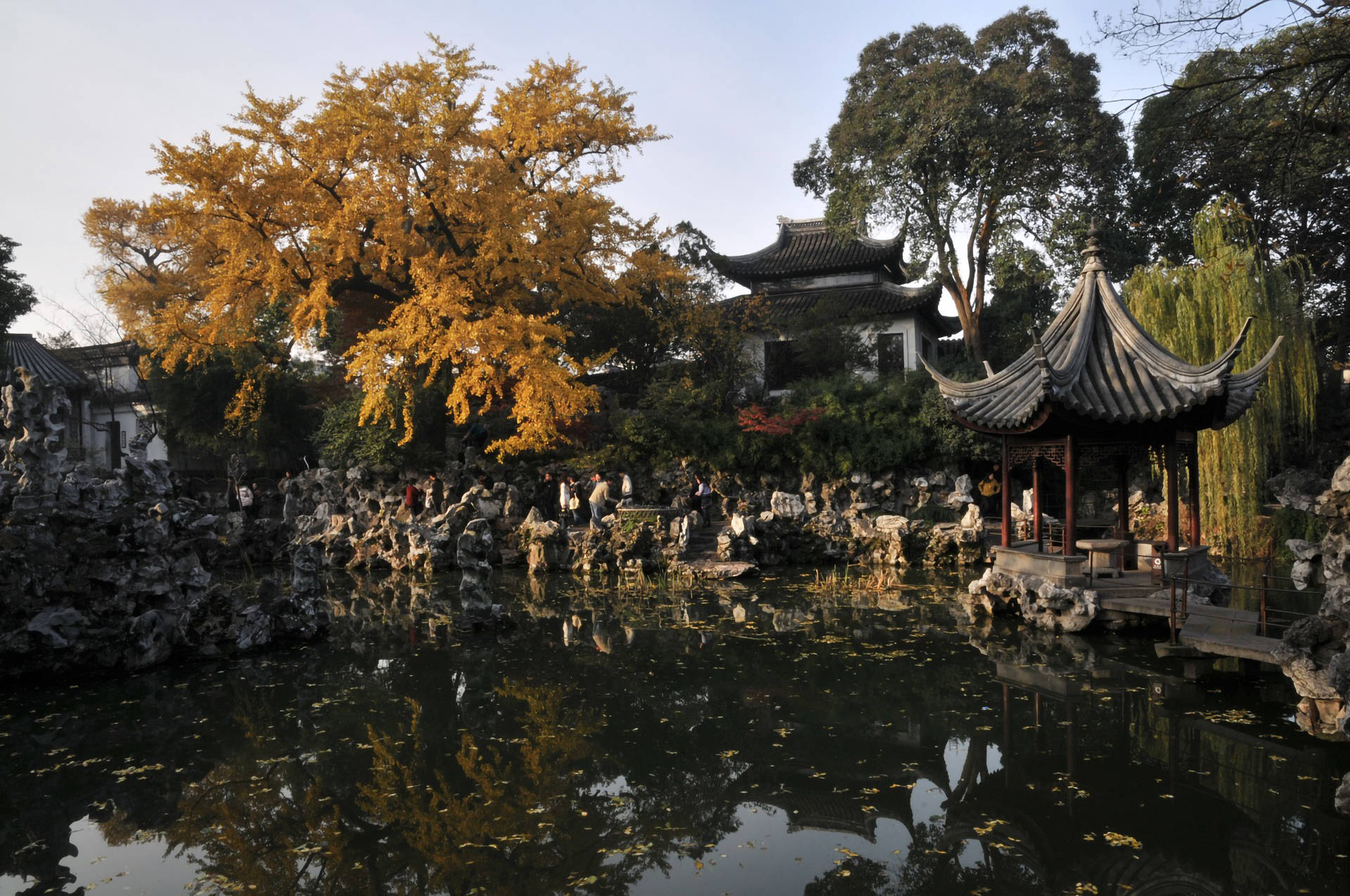 蘇州銀杏樹 壁紙 — 一個寧靜的傳統中式花園池塘，在柔和秋光下倒映著金色的銀杏樹和華麗的亭台樓閣。