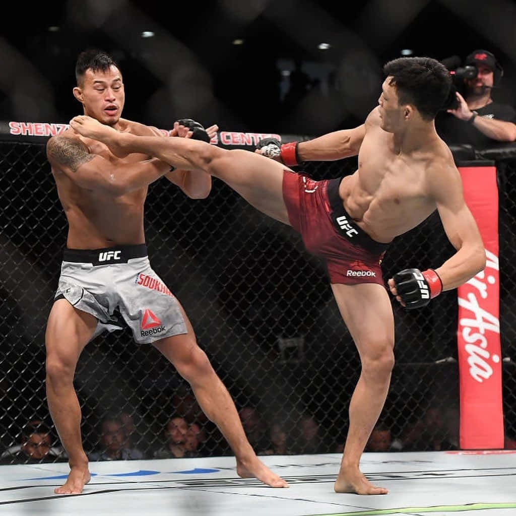 籠中的兩名男性拳手，在UFC比賽中一人踢向另一人。