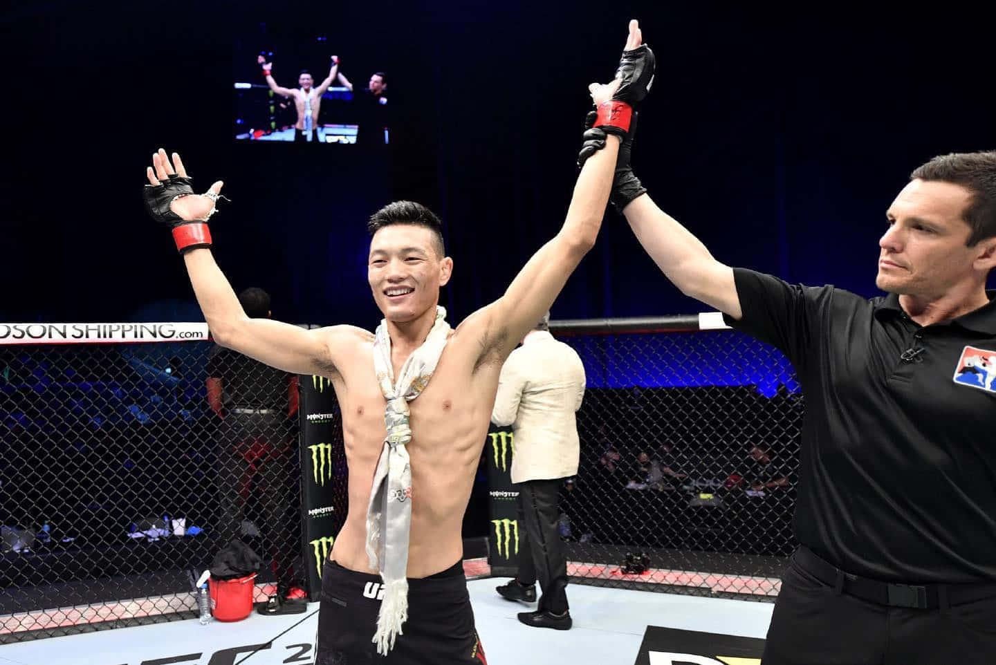 MMA拳手贏得比賽，裁判在八角籠中舉起他的手。