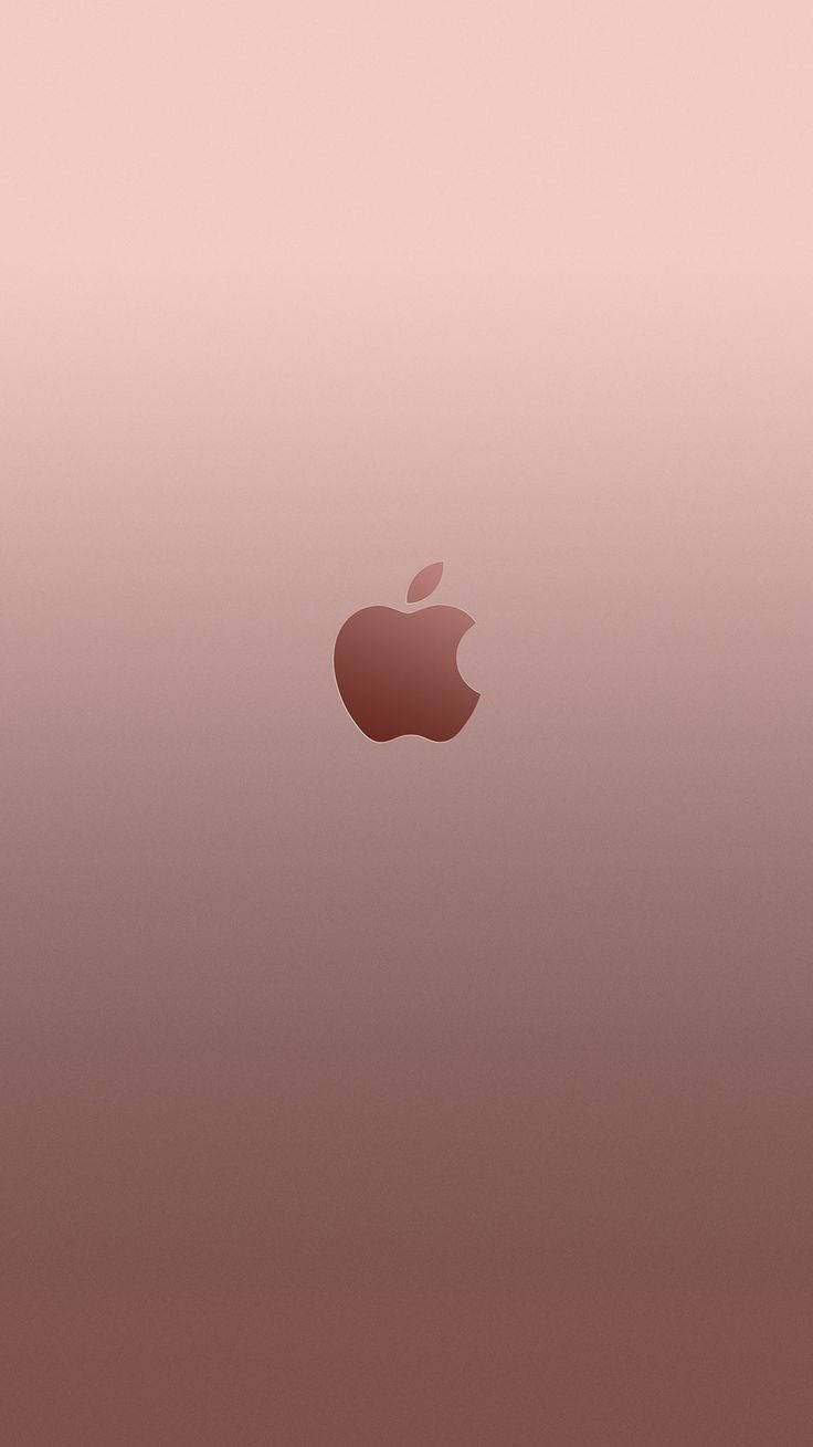 Apple標誌置於玫瑰金漸變背景中央