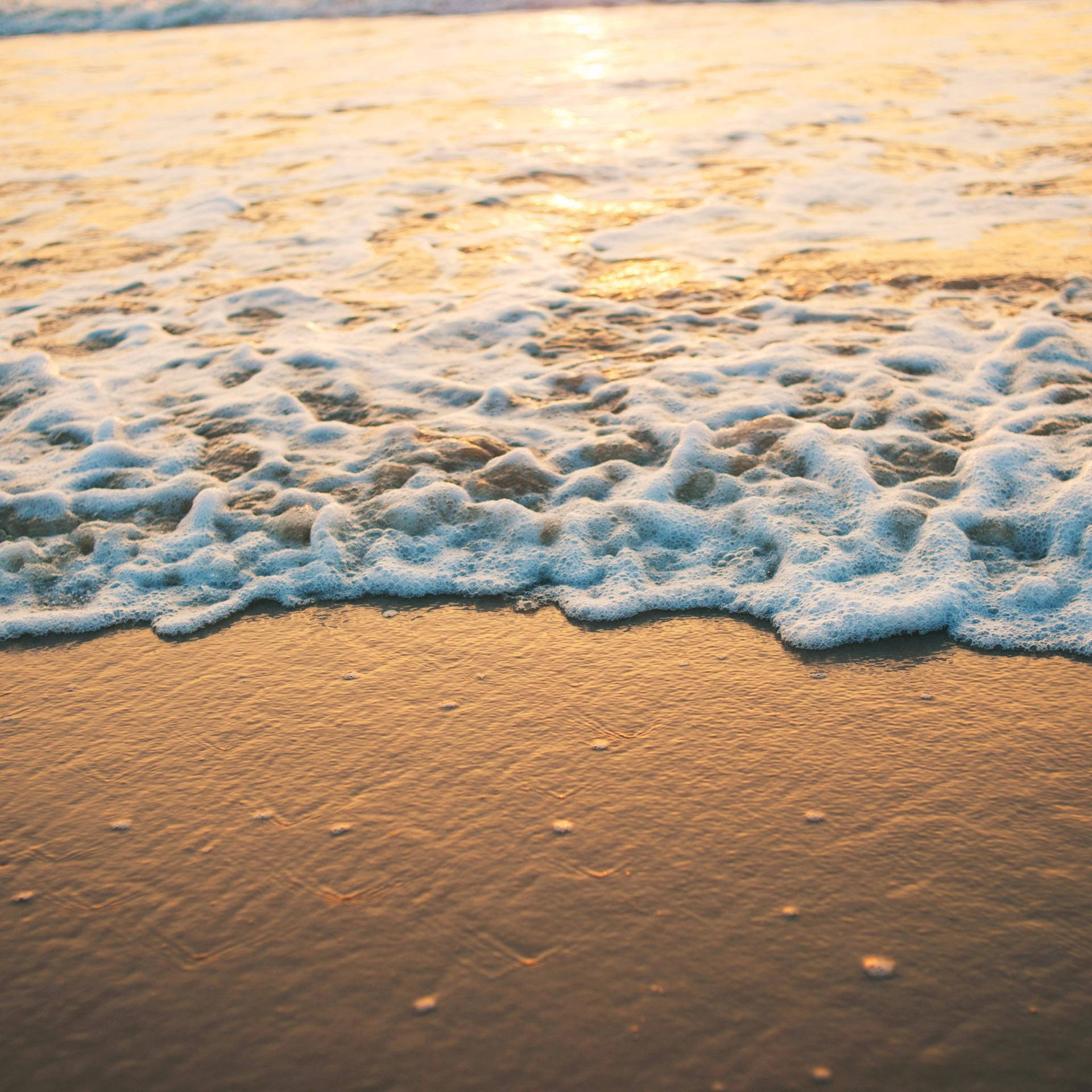 夕陽海浪拍打濕沙，帶有白色泡沫