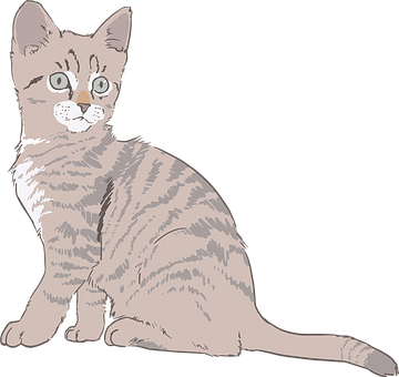 虎斑小貓插畫 壁紙