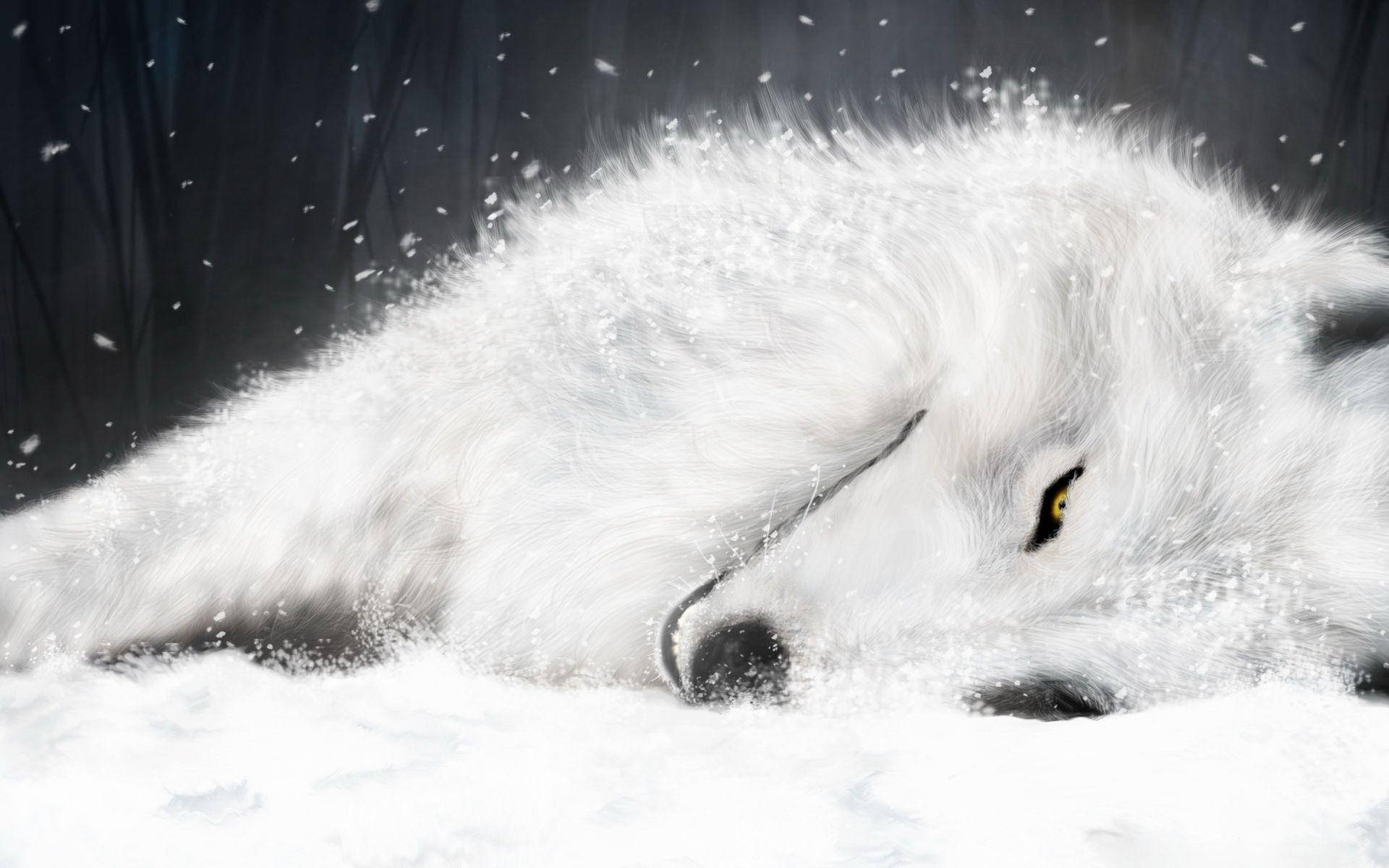 虛弱白狐藝術 壁紙 — 一隻寧靜的白狼在深雪中休息，金色的眼睛在飄落的雪花中溫柔地凝視。